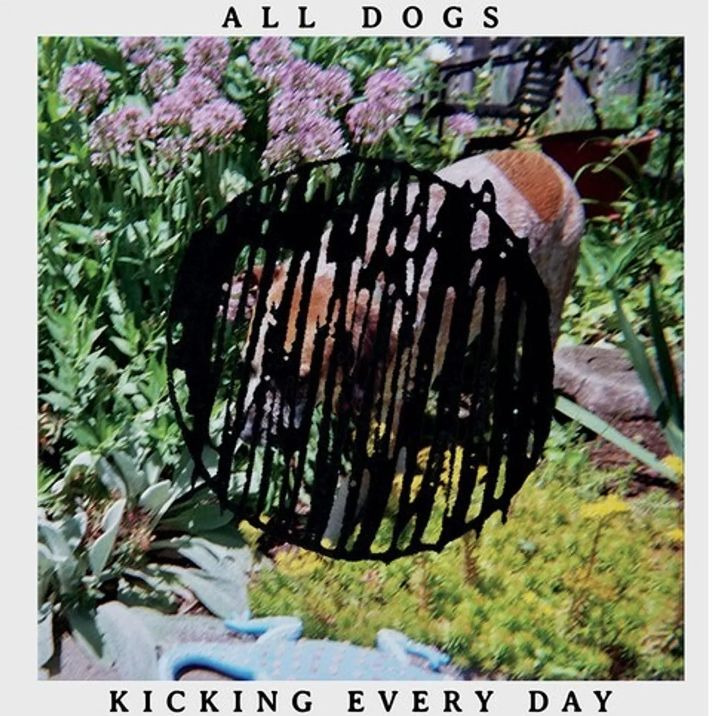 All Dogs Kicking Every Day Vinyl Record