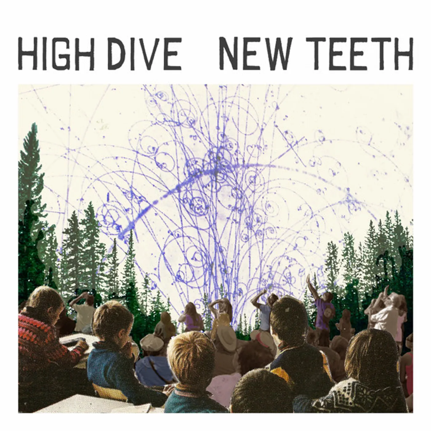 High Dive New Teeth Vinyl Record