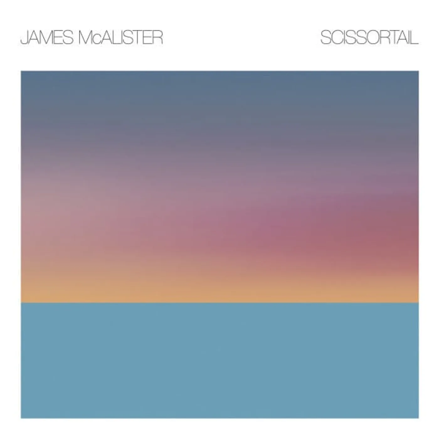 James McAlister Scissortail Vinyl Record