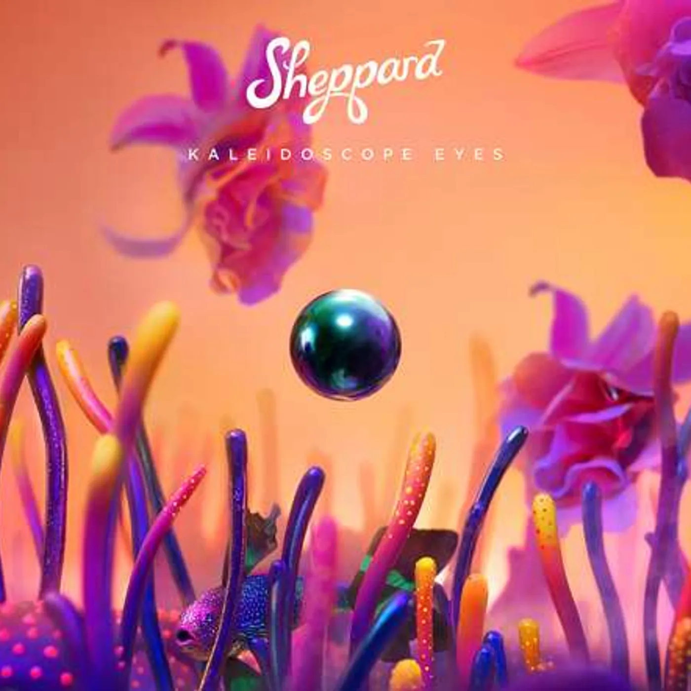 Sheppard KALEIDOSCOPE EYES CD