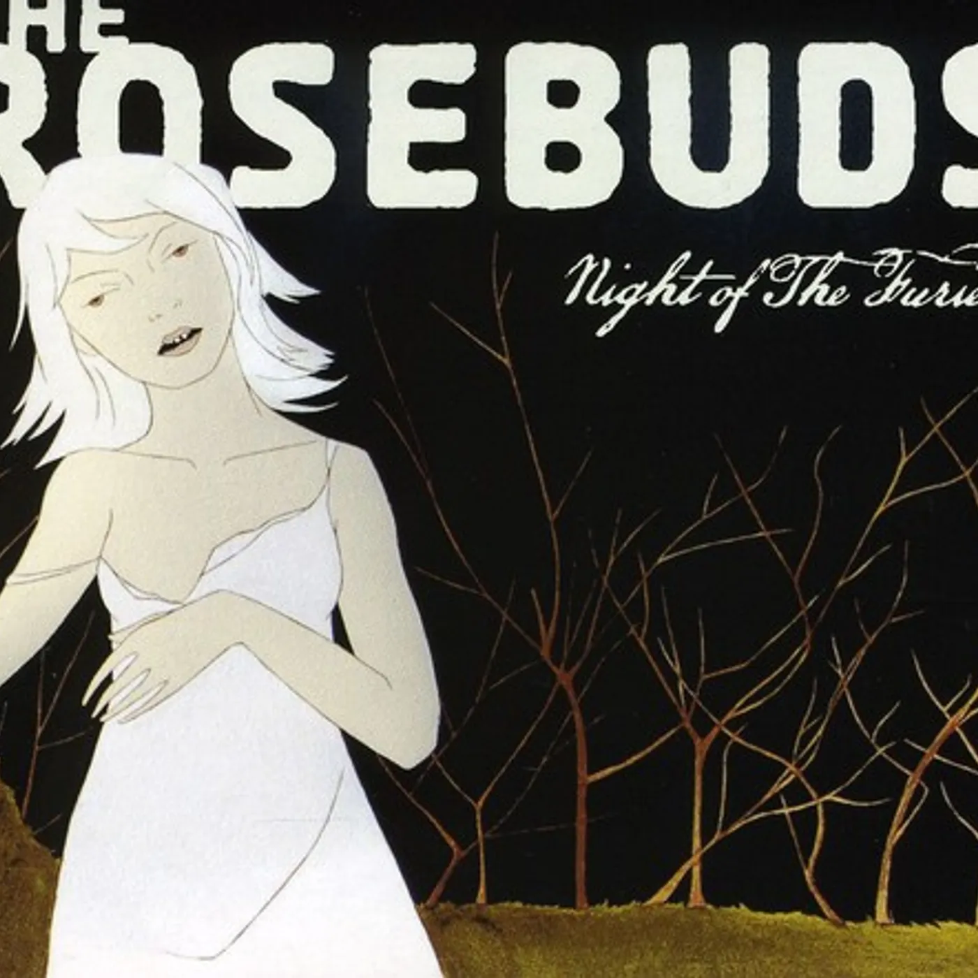 The Rosebuds NIGHT OF THE FURIES CD