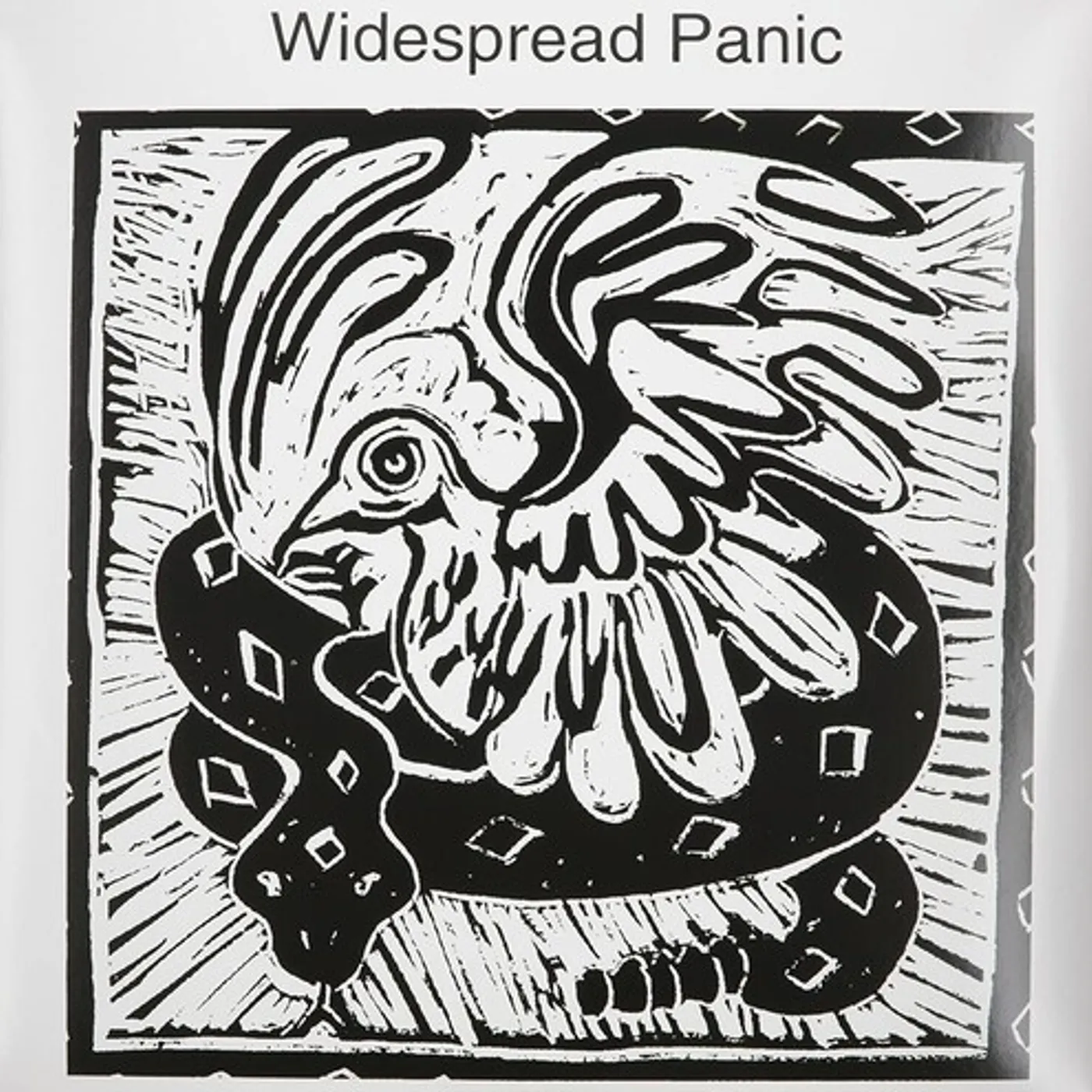 Widespread Panic Vinyl Record