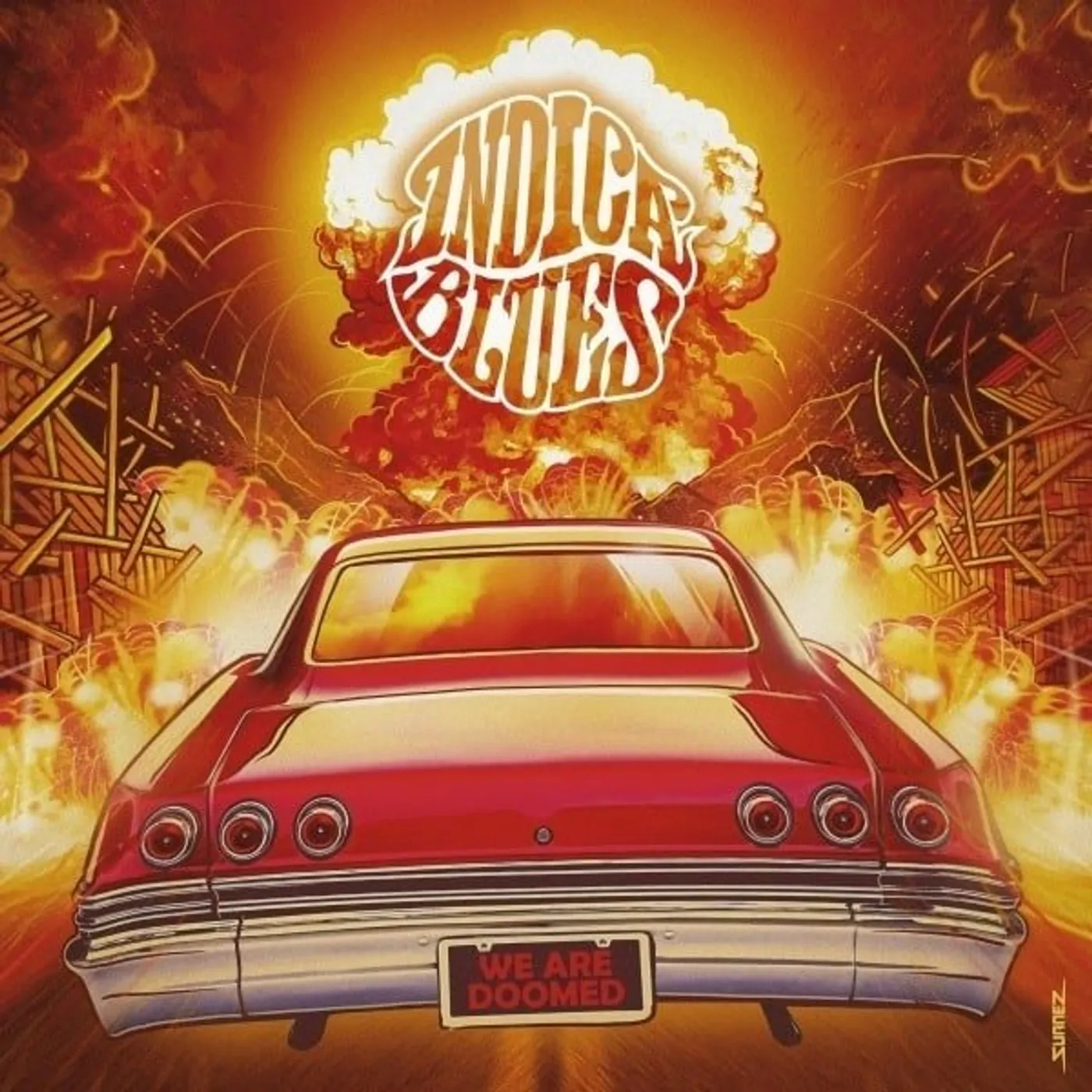 Indica Blues We Are Doomed Vinyl Record