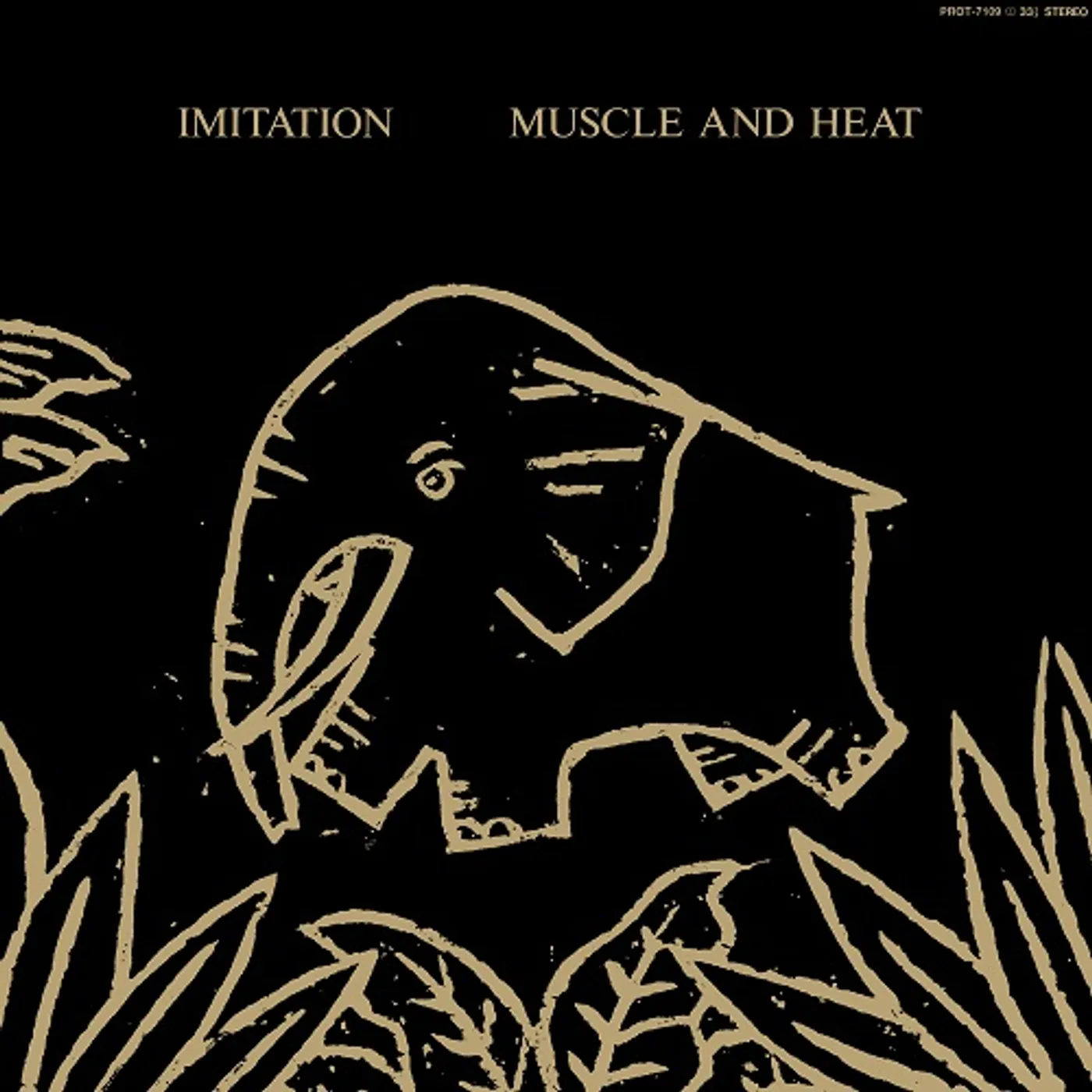 Imitation Muscle And Heat Vinyl Record