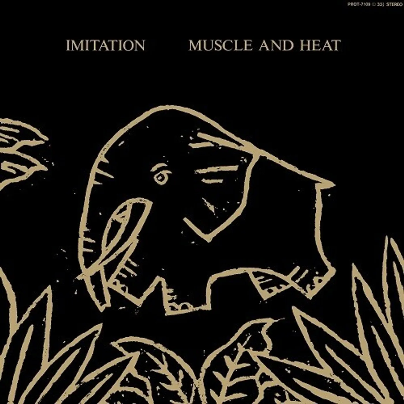 Imitation Muscle And Heat Vinyl Record