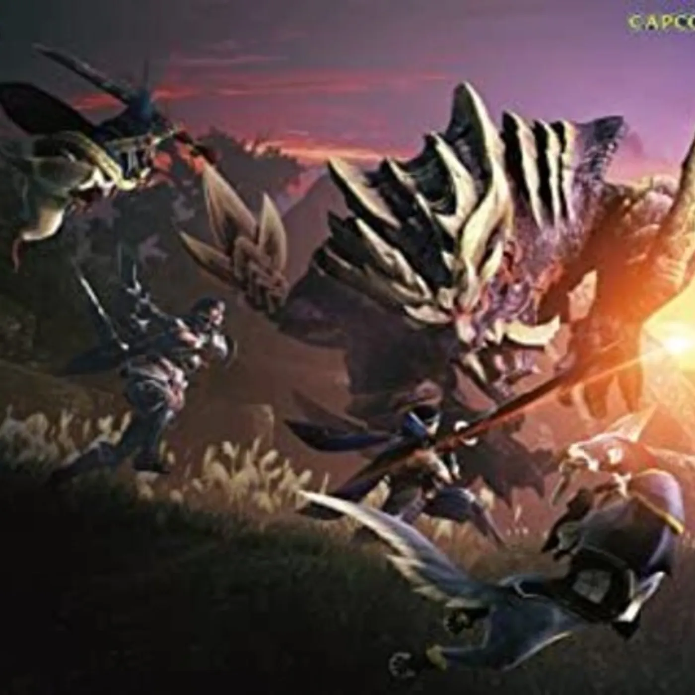 Game Music MONSTER HUNTER RISE CD