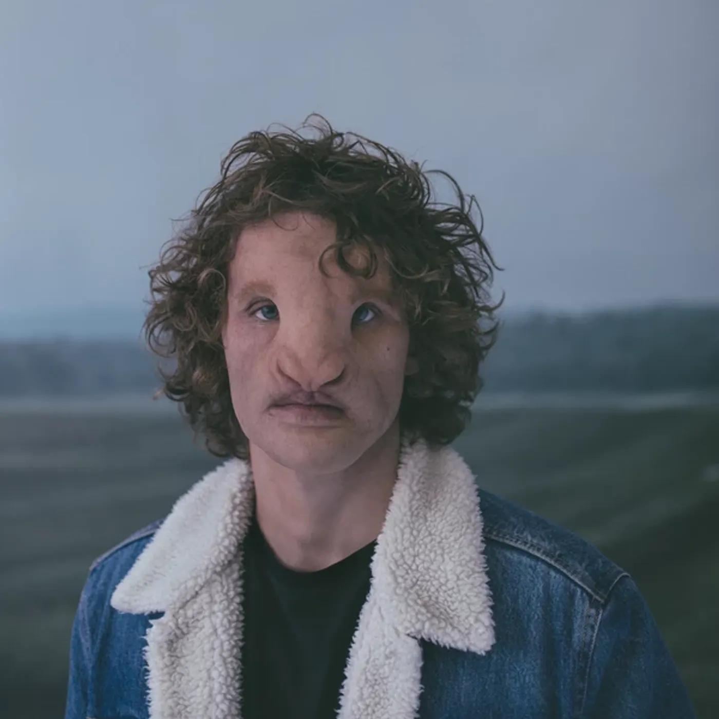 Philippe Brach Le silence des troupeaux Vinyl Record