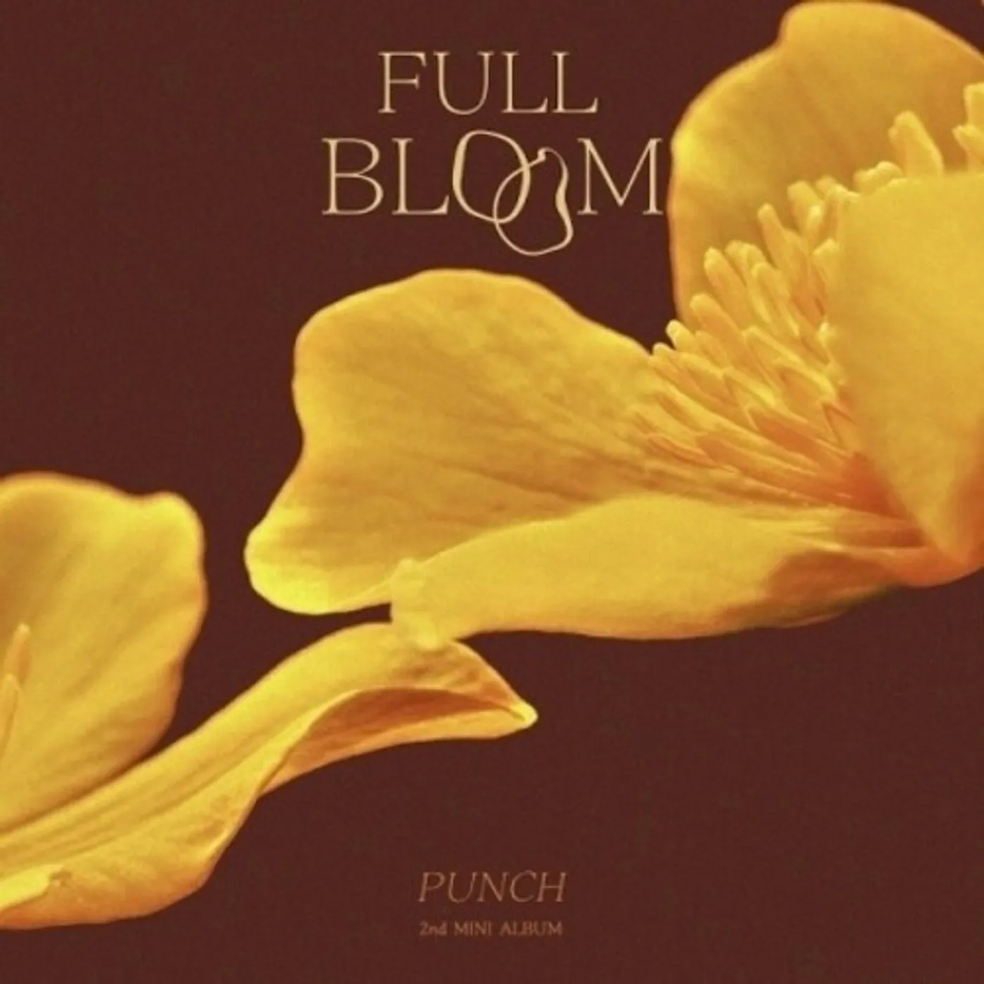 Punch FULL BLOOM CD