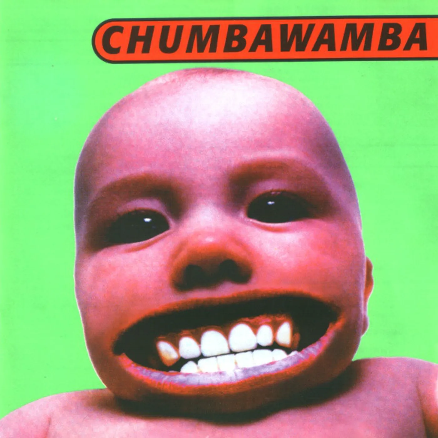 Chumbawamba Tubthumping Vinyl Record