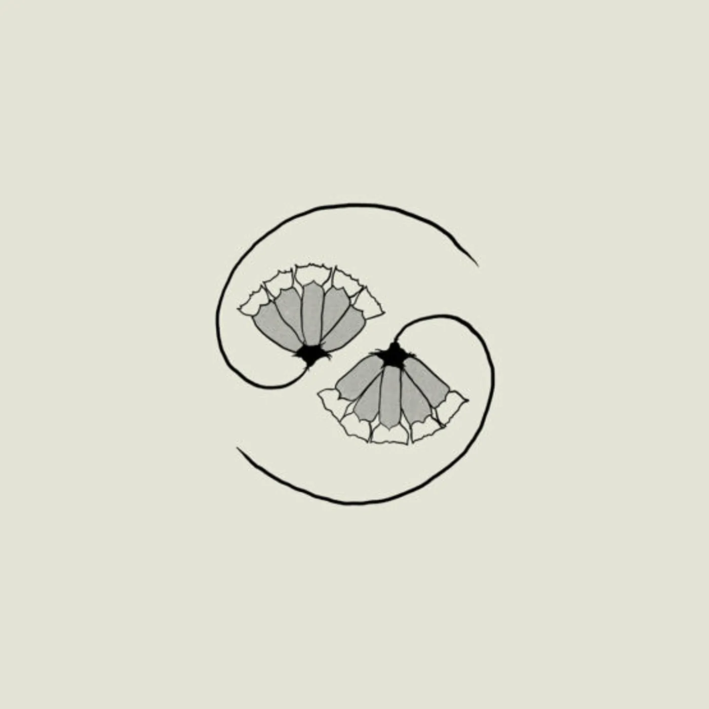 Godspeed You! Black Emperor G_D'S PEE AT STATE'S END (INCL. 10) Vinyl Record