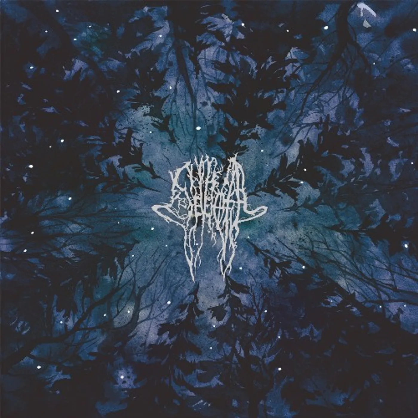 Severoth Vsesvit Vinyl Record