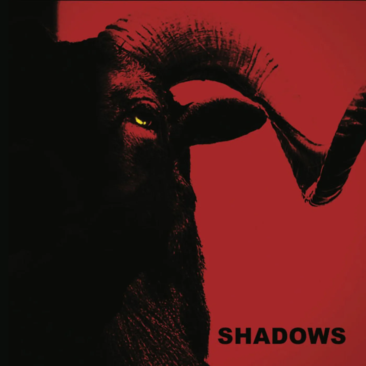 Shadows Vinyl Record