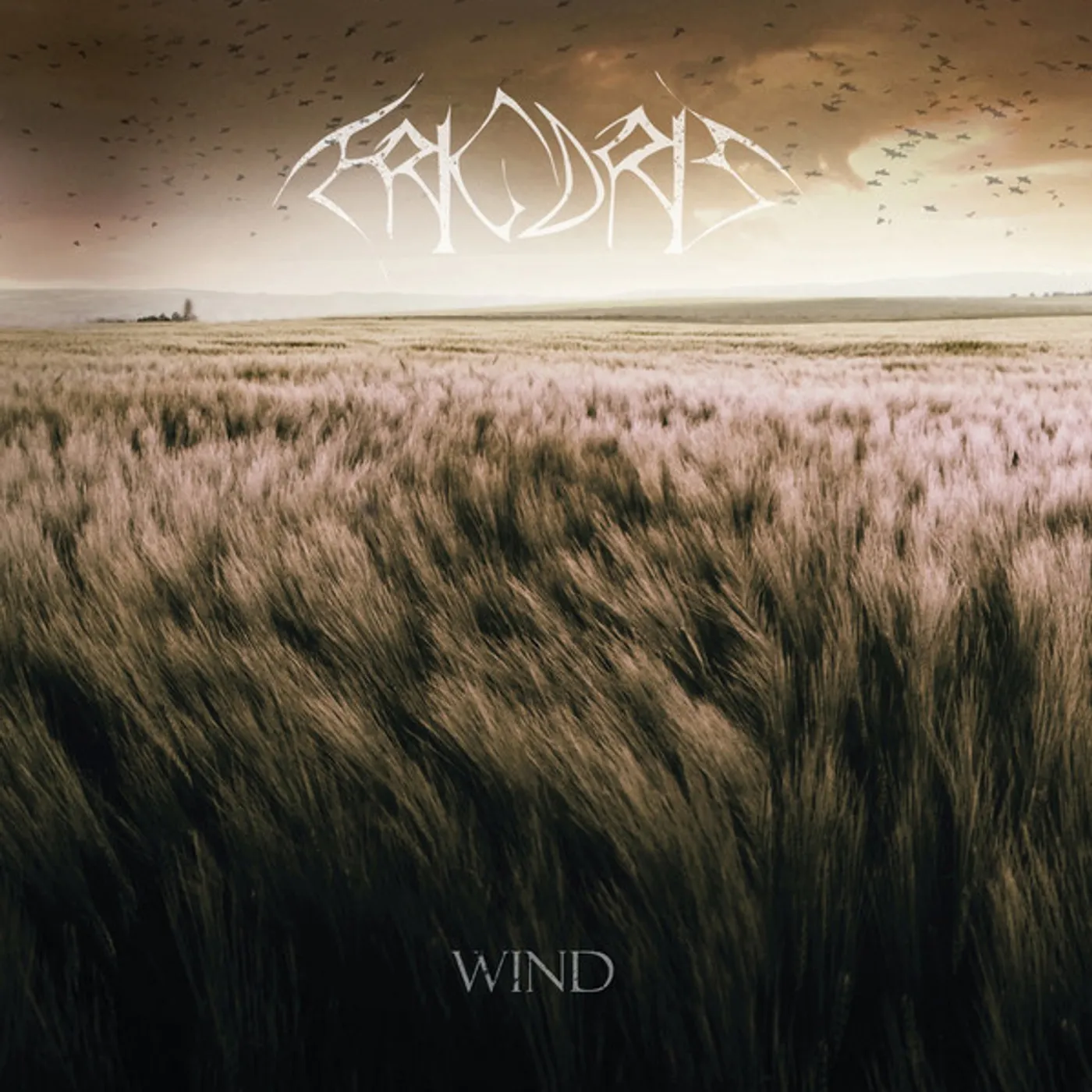 Frigoris Wind Vinyl Record