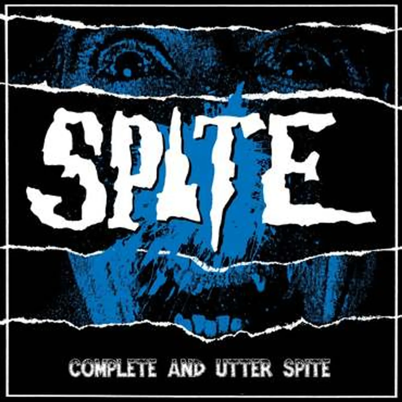 COMPLETE & UTTER SPITE Vinyl Record
