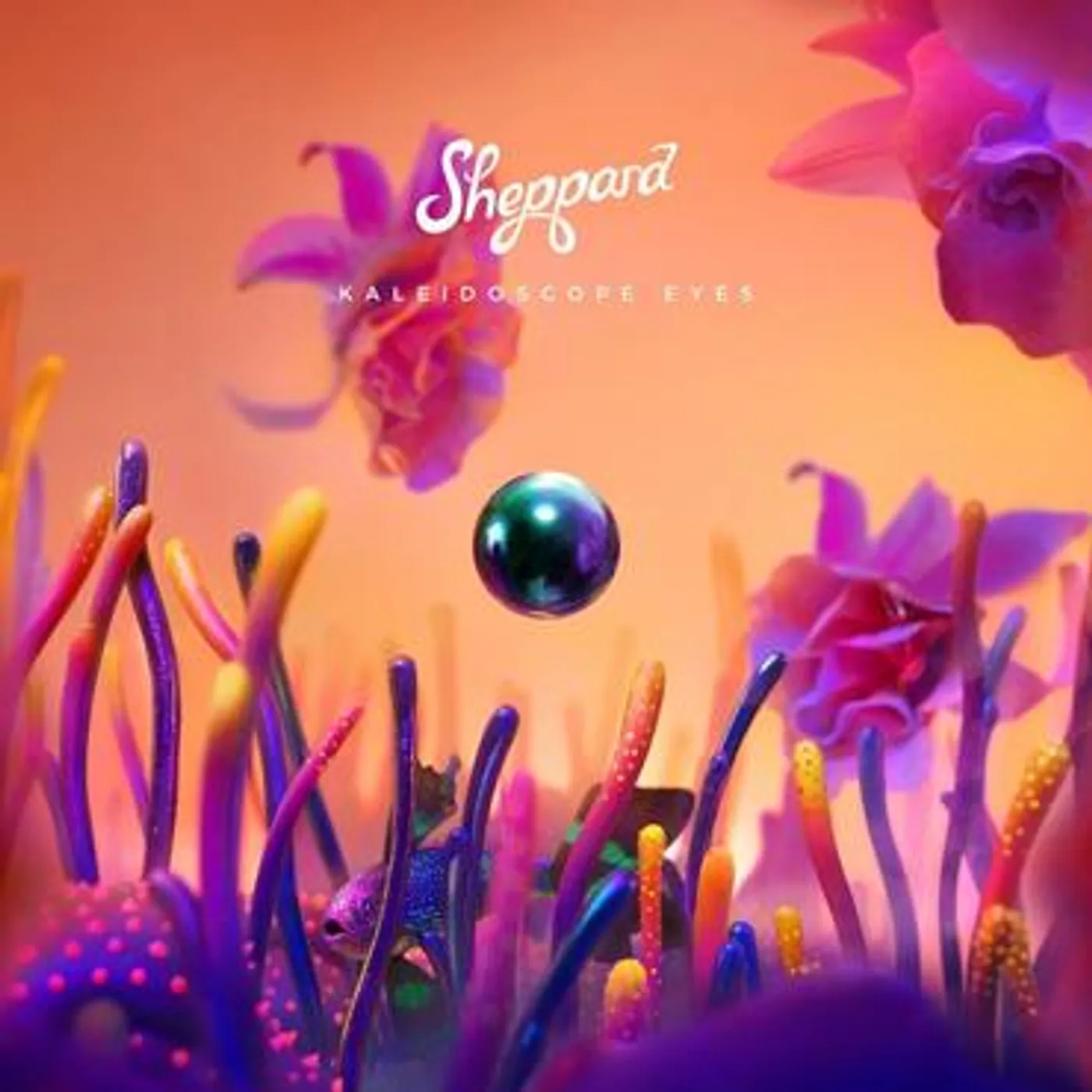 Sheppard Kaleidoscope Eyes Vinyl Record