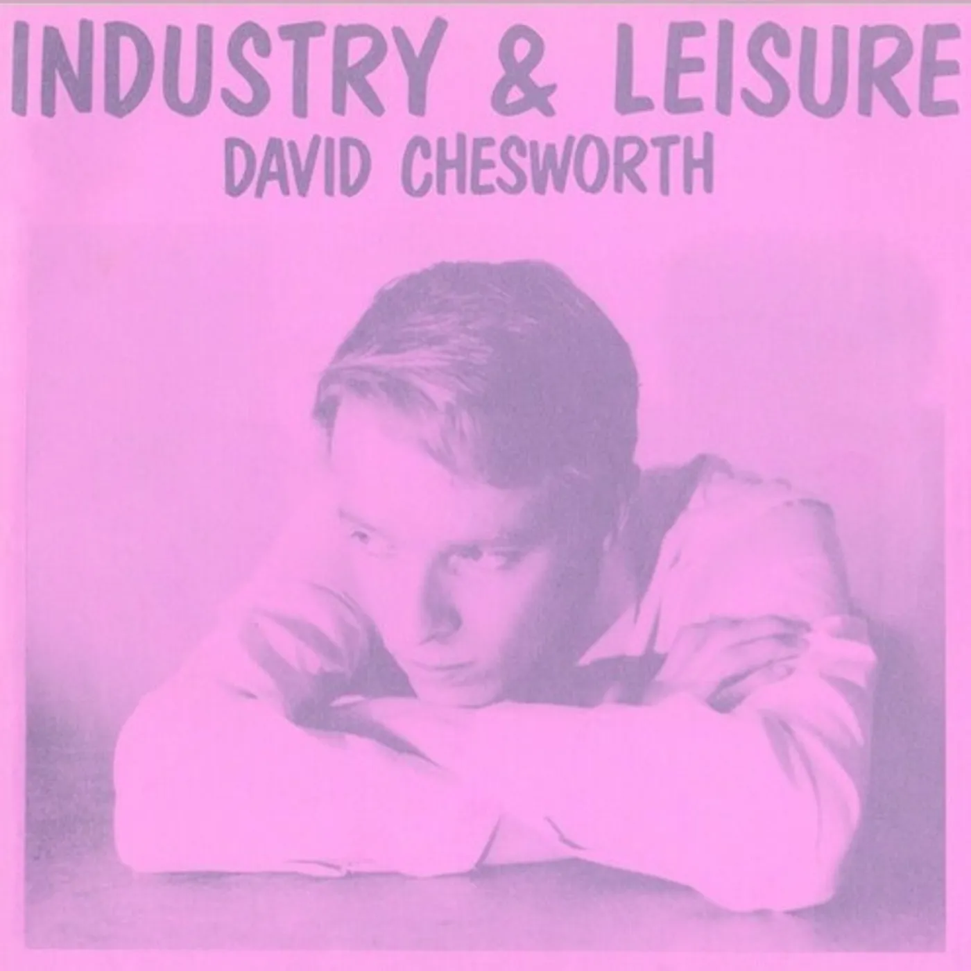 David Chesworth Industry & Leisure Vinyl Record