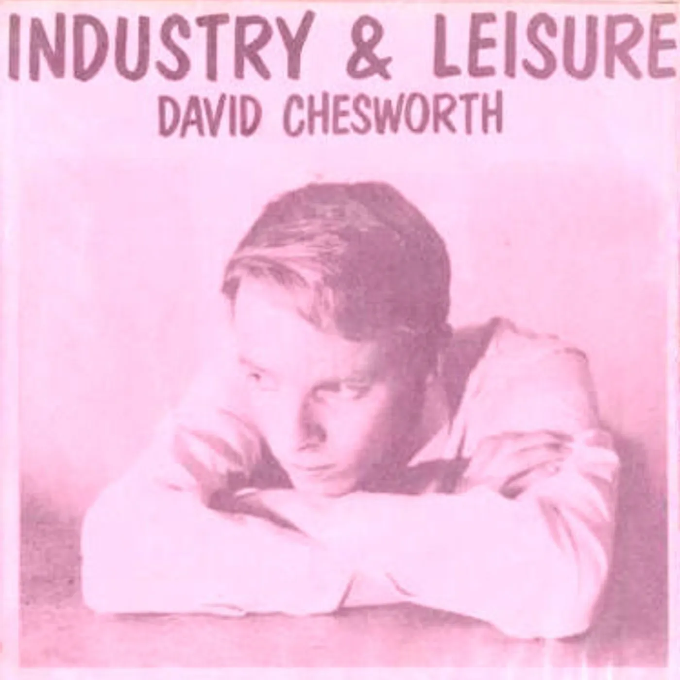David Chesworth Industry & Leisure Vinyl Record