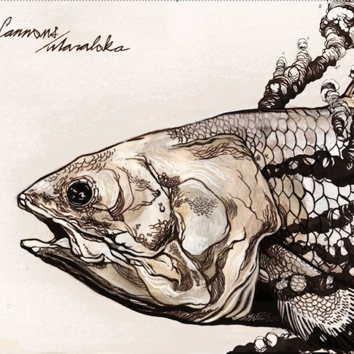 Cannons MARALOKA Vinyl Record