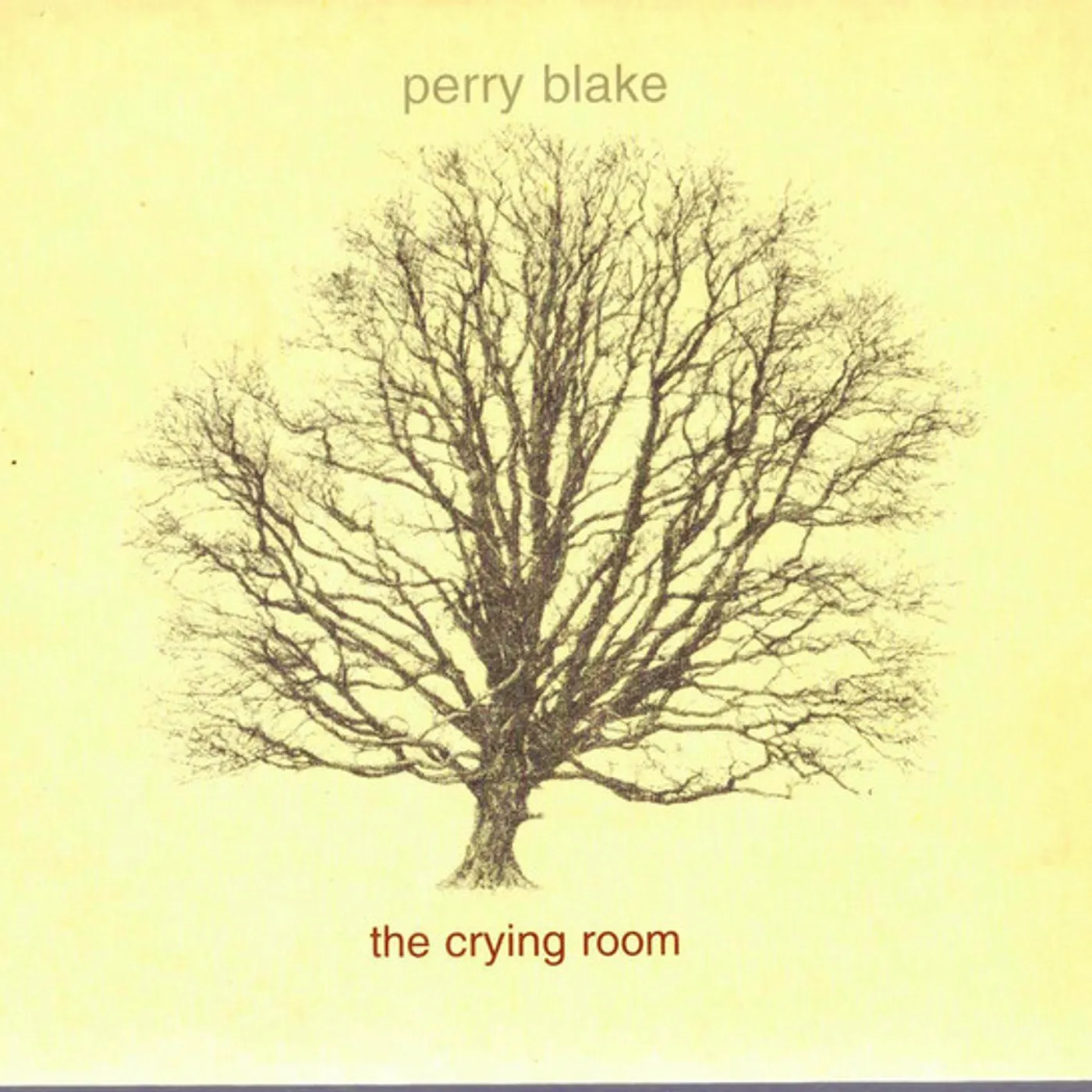 Perry Blake CRYING ROOM Vinyl Record