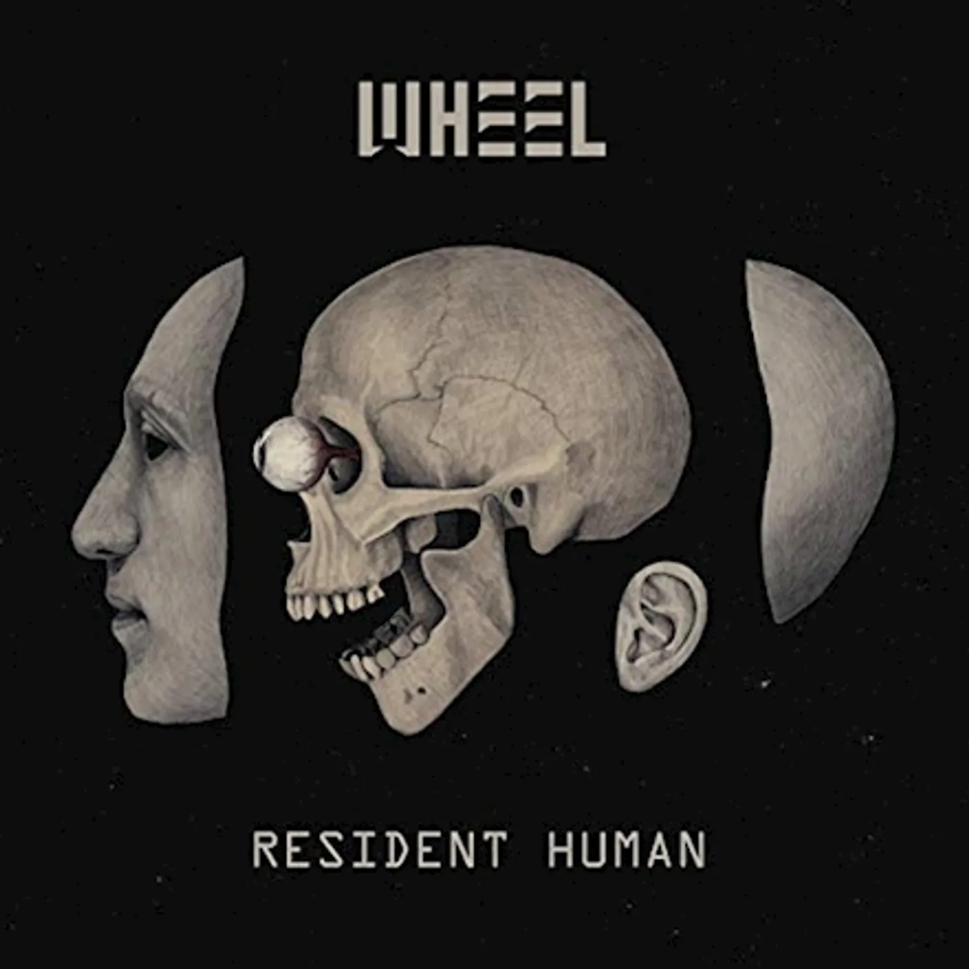 Wheel Resident Human Vinyl Record