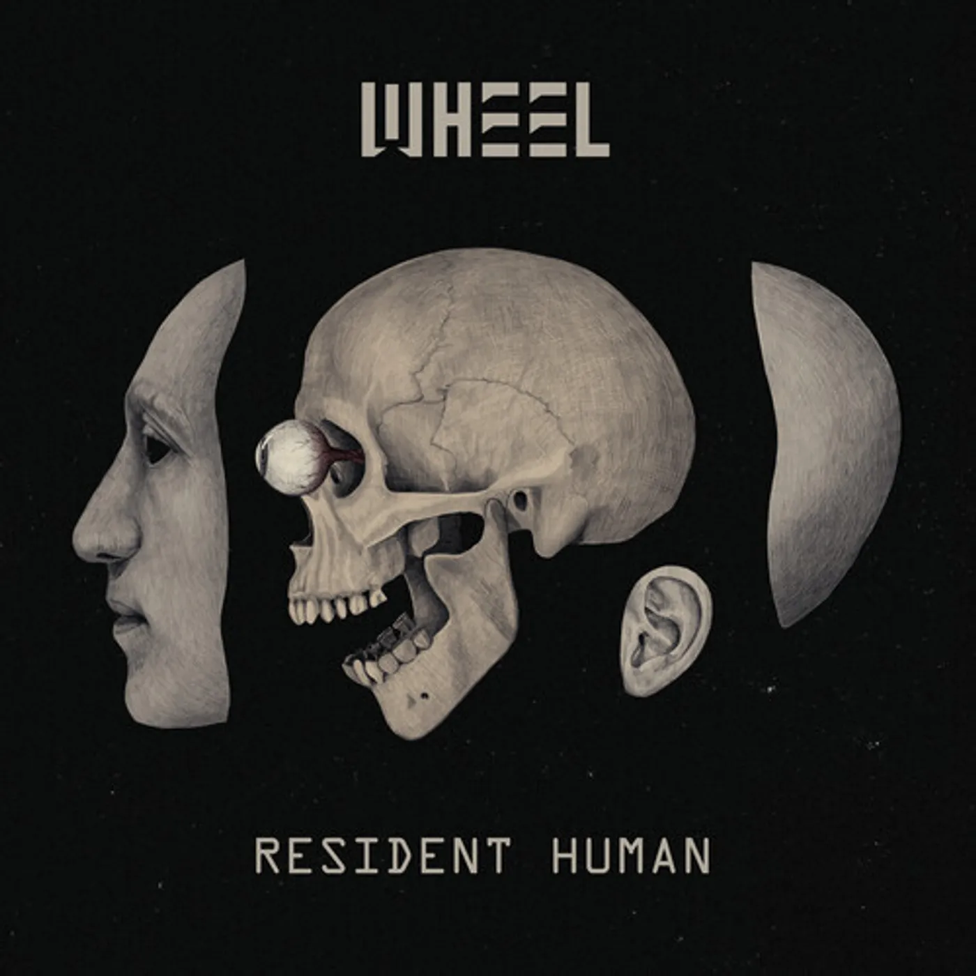 Wheel RESIDENT HUMAN CD