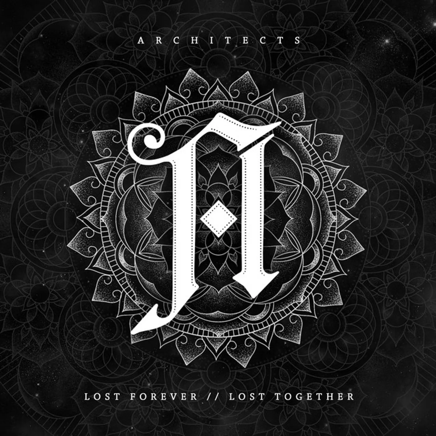 Architects Lost Forever / Lost Together Vinyl Record