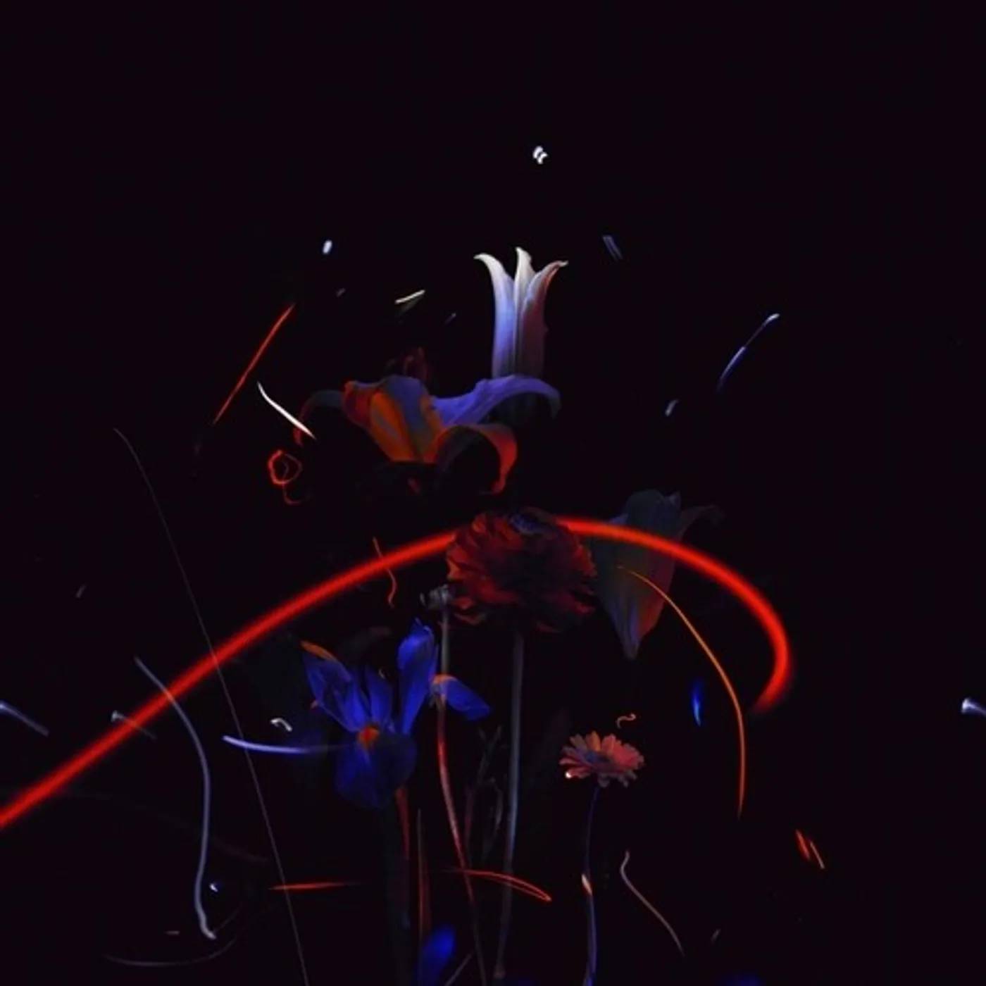 Heinali Madrigals Vinyl Record