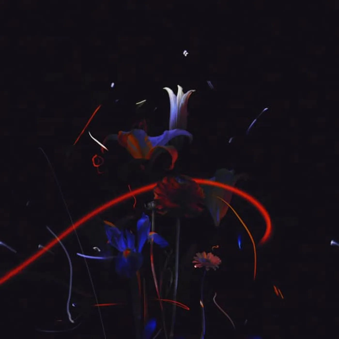 Heinali Madrigals Vinyl Record