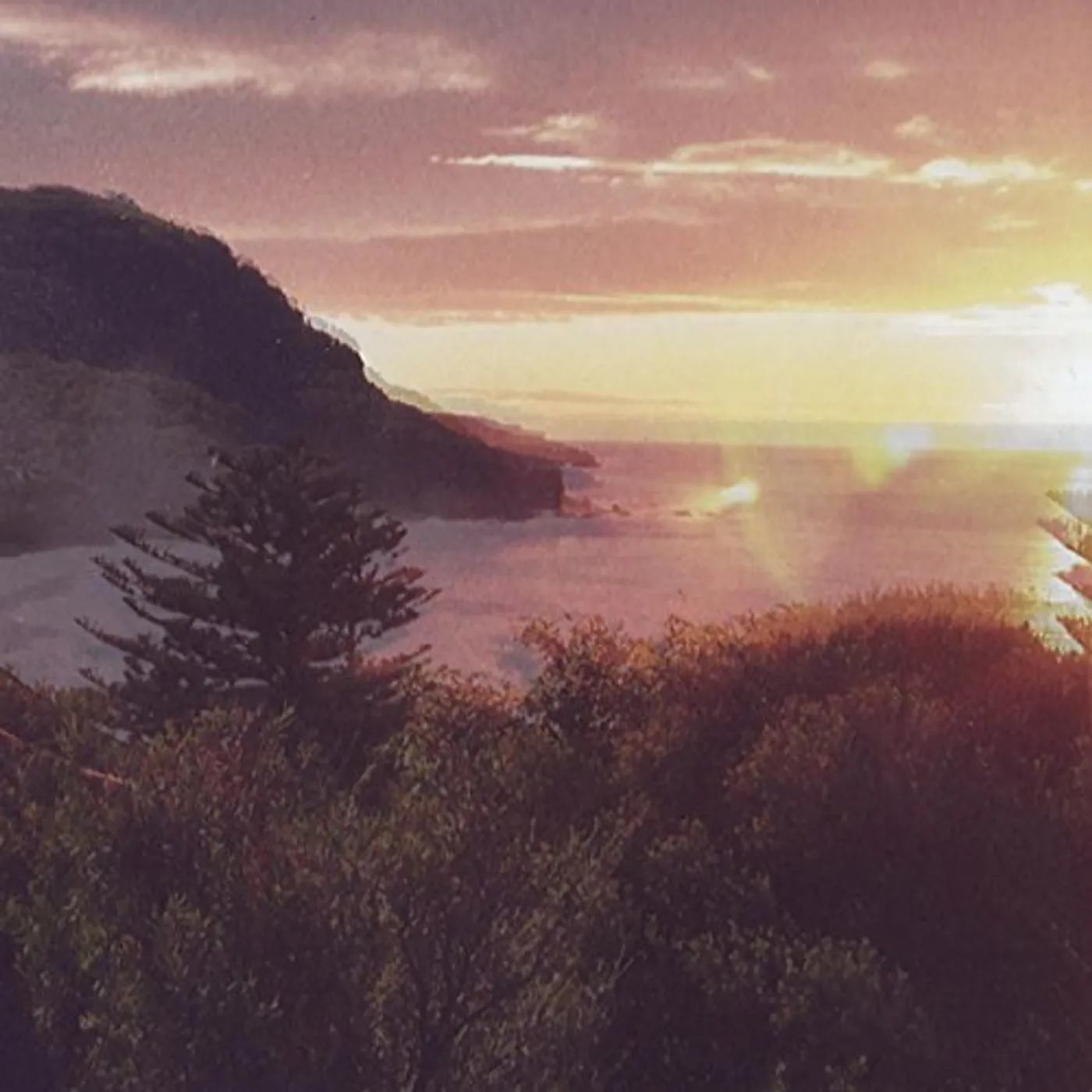 The Ocean Party Beauty Point Vinyl Record