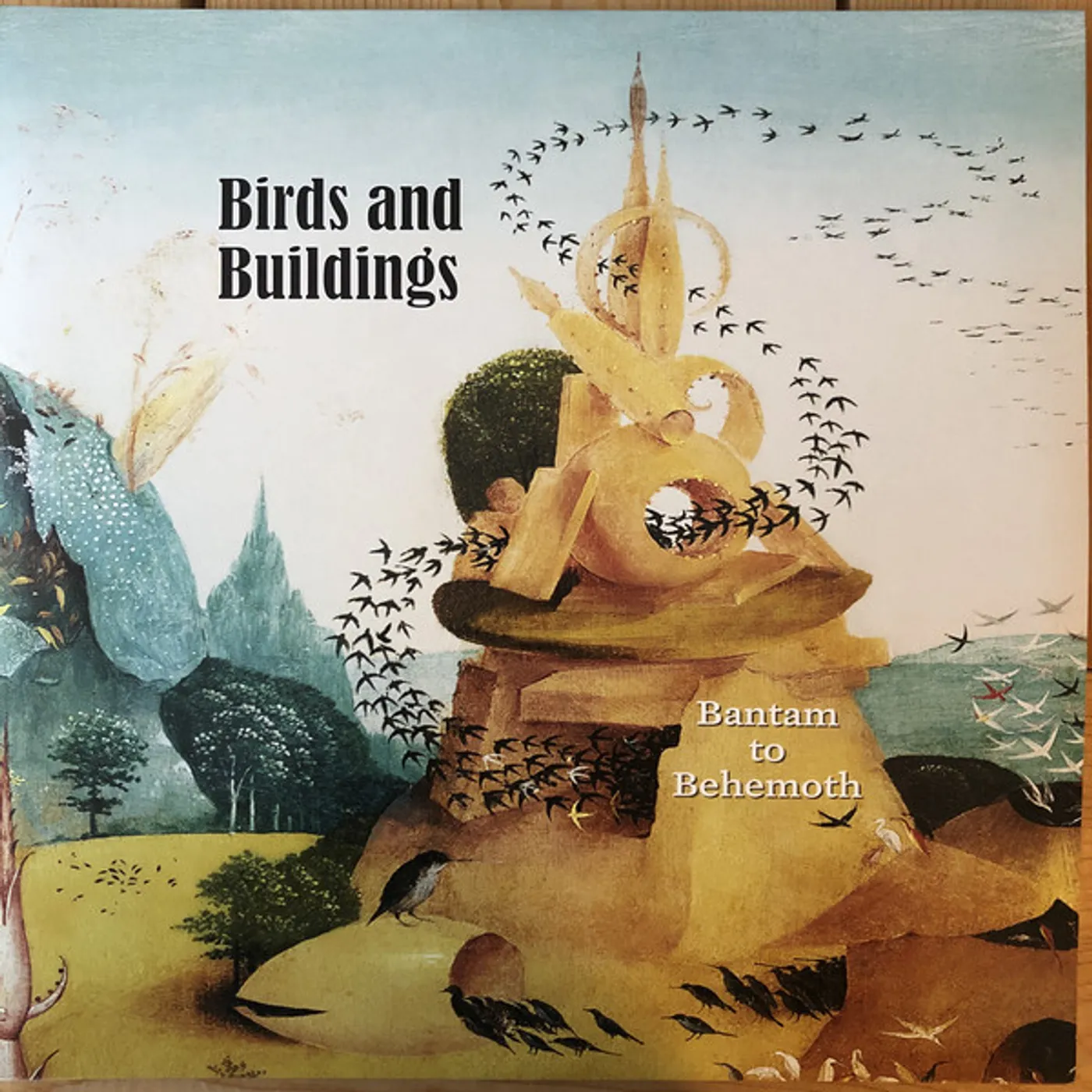 Birds And Buildings BAMTAM TO BEHEMOTH Vinyl Record