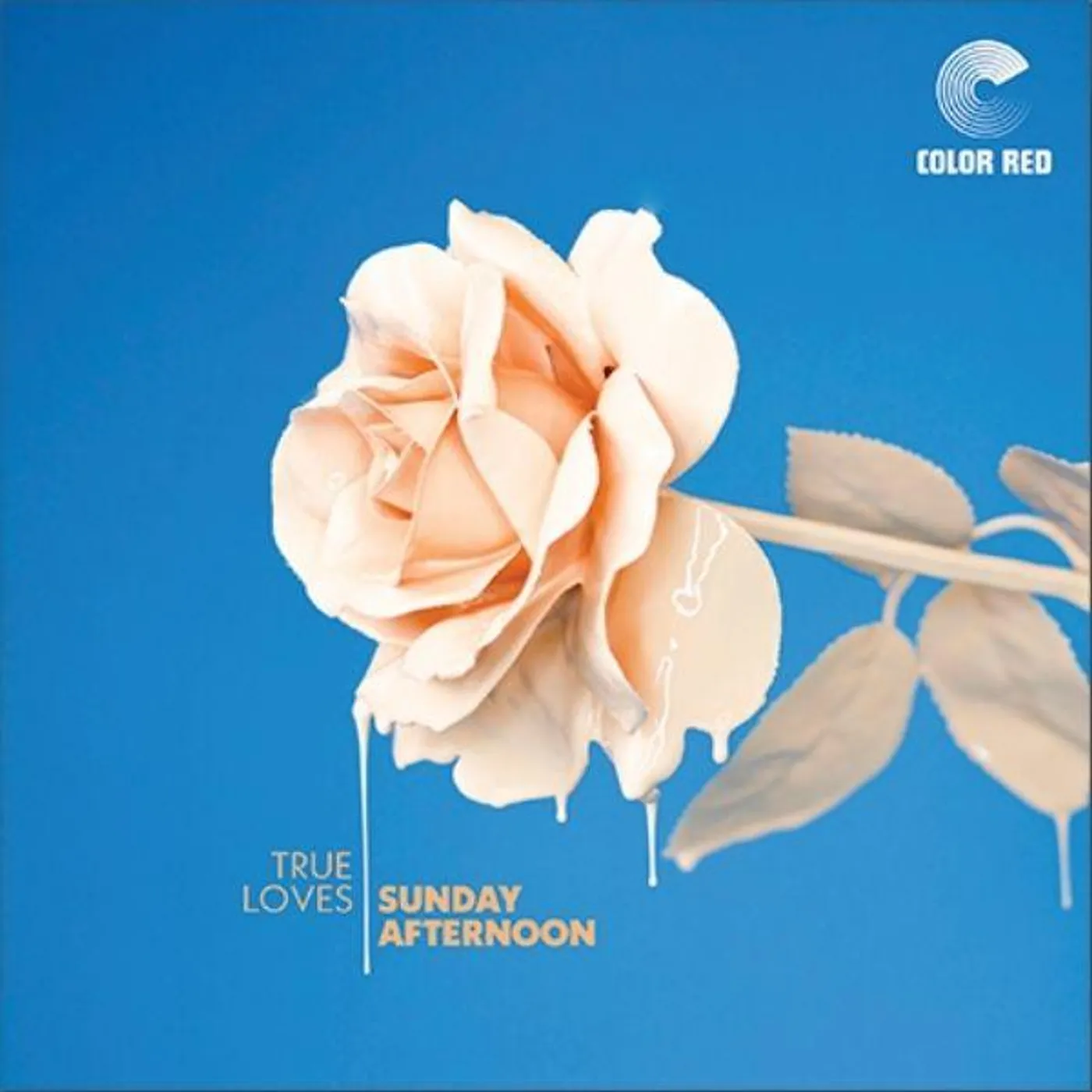 True Loves SUNDAY AFTERNOON (BLUE MARBLED VINYL) Vinyl Record