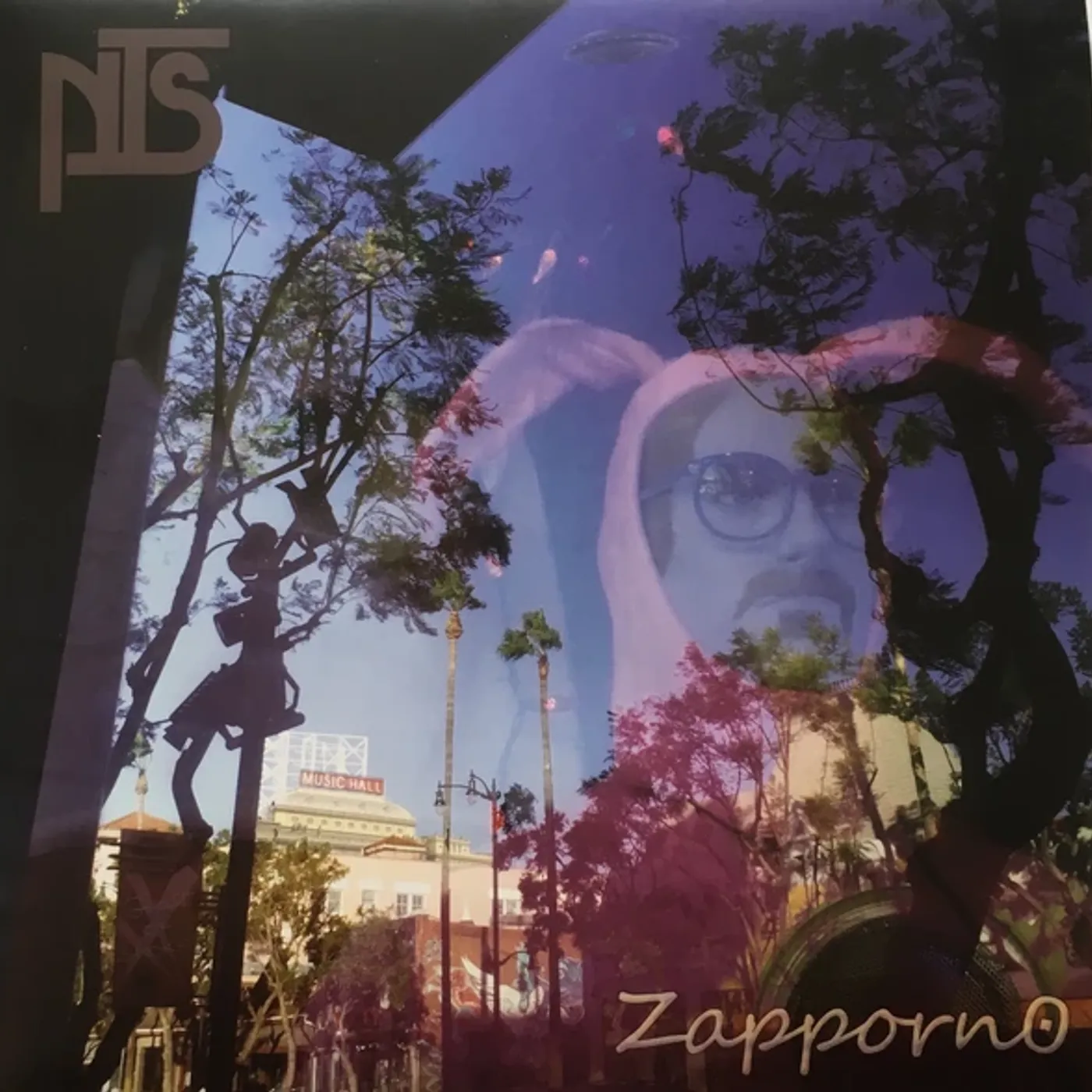 NTS ZAPPORN0 Vinyl Record
