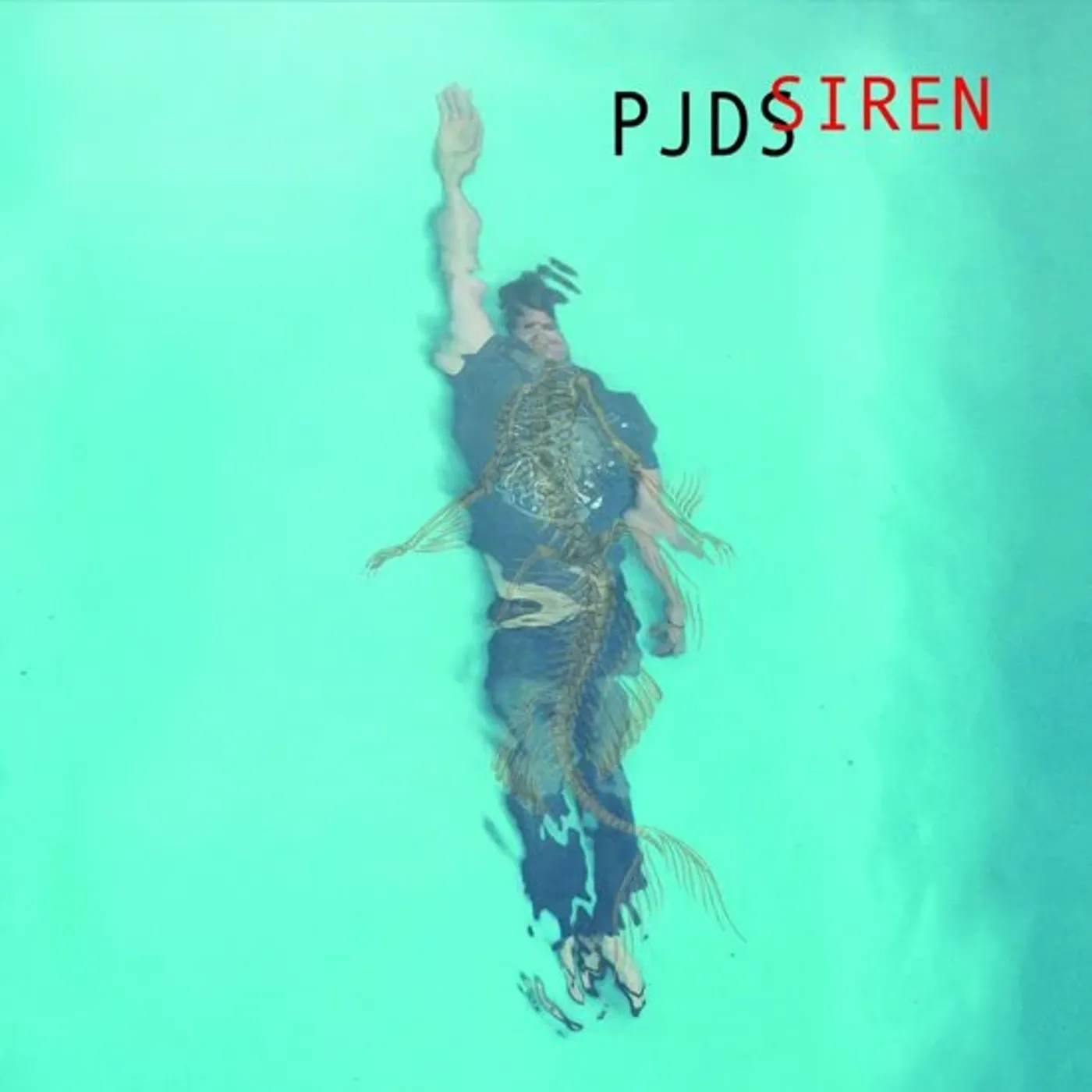 PJDS Siren Vinyl Record