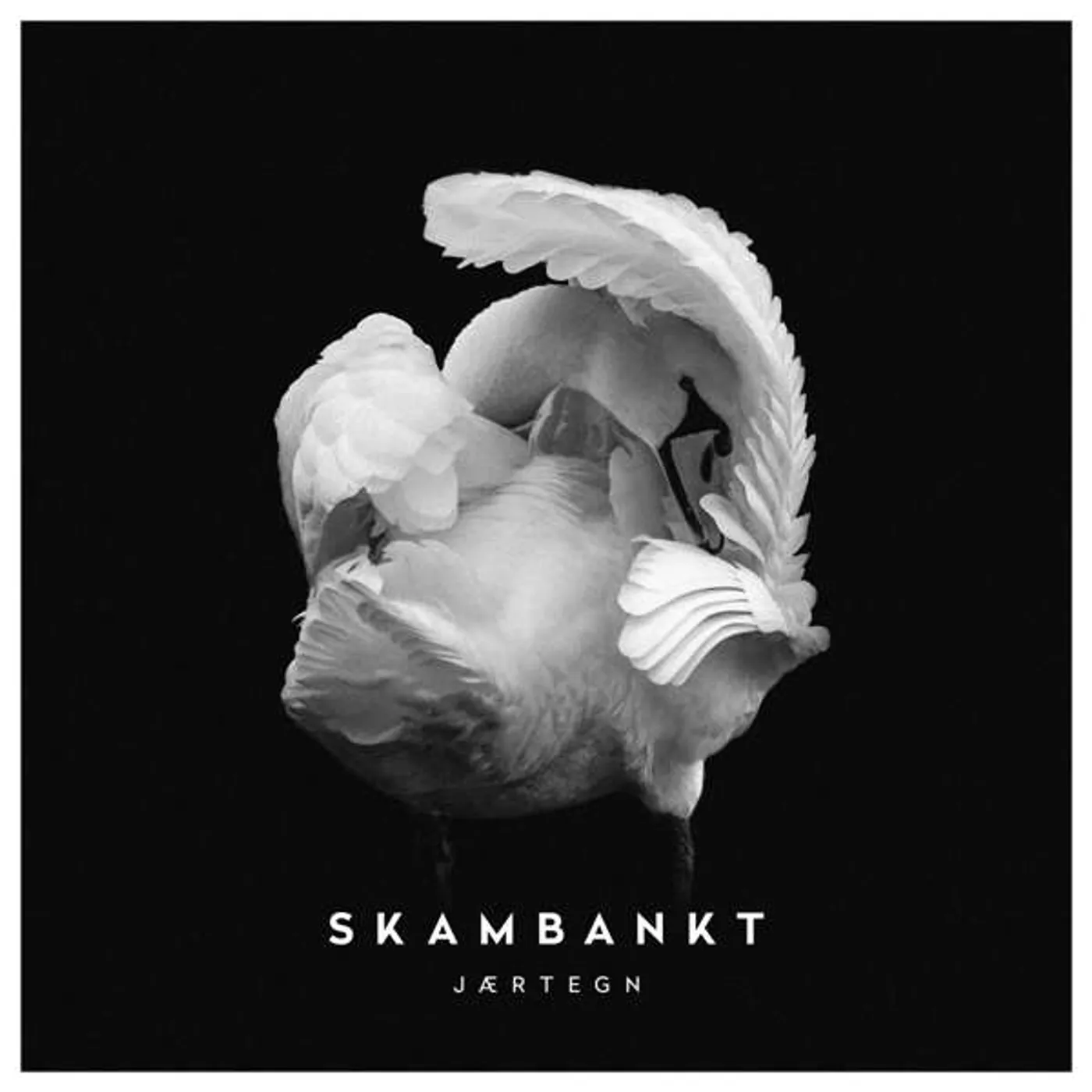 Skambankt JAERTEGN Vinyl Record