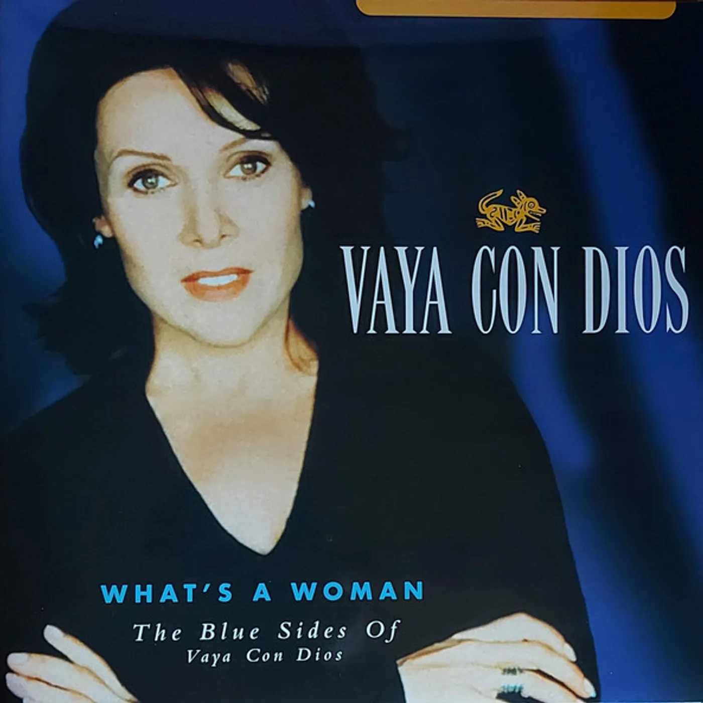 WHAT'S A WOMAN: THE BLUE SIDES OF VAYA CON DIOS Vinyl Record