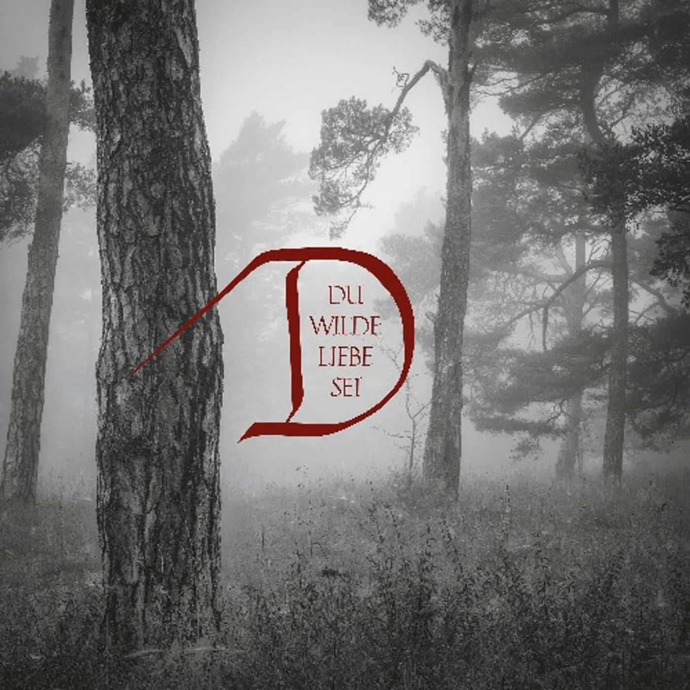 Dornenreich DU WILDE LIEBE SEI (BOOK EDITION) CD