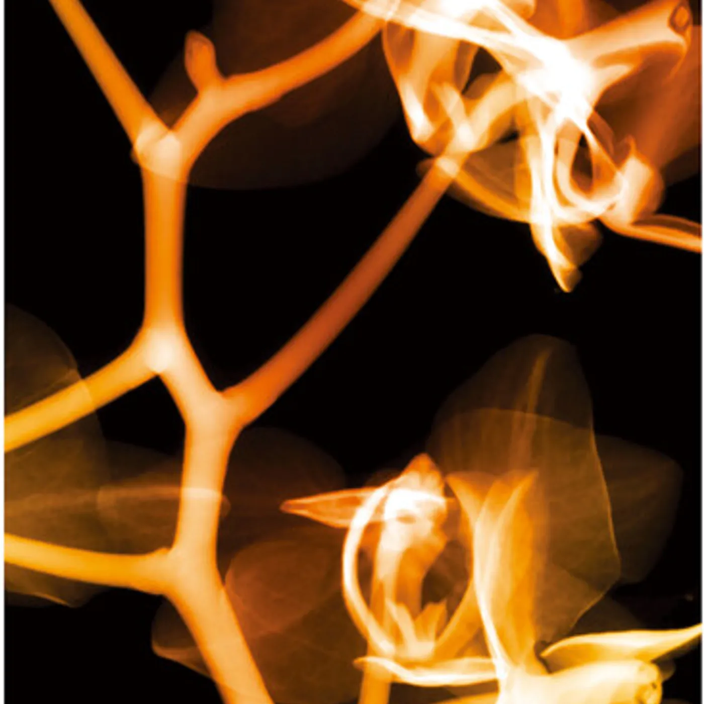 (G)I-DLE I BURN (FIRE VERSION) CD