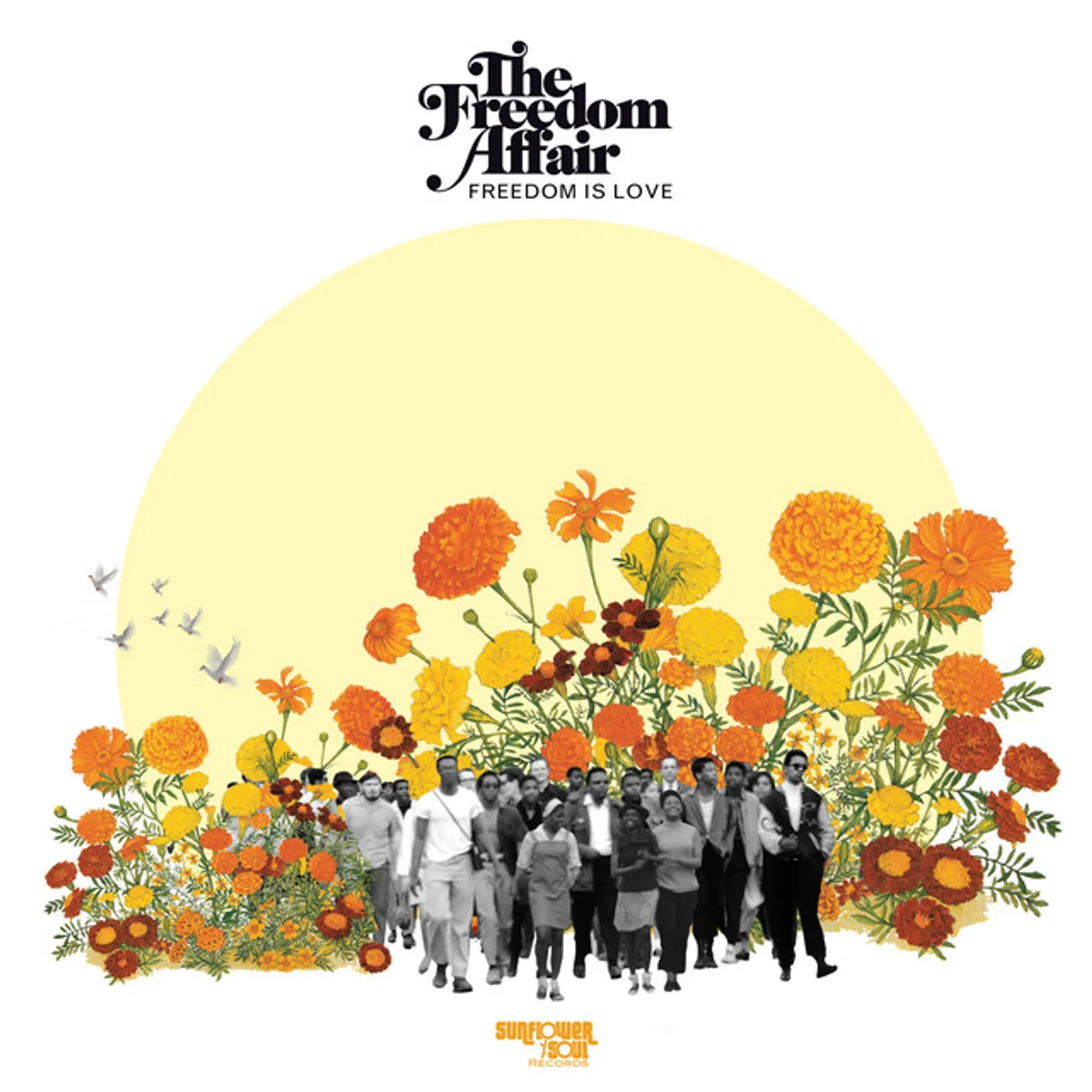 The Freedom Affair FREEDOM IS LOVE CD