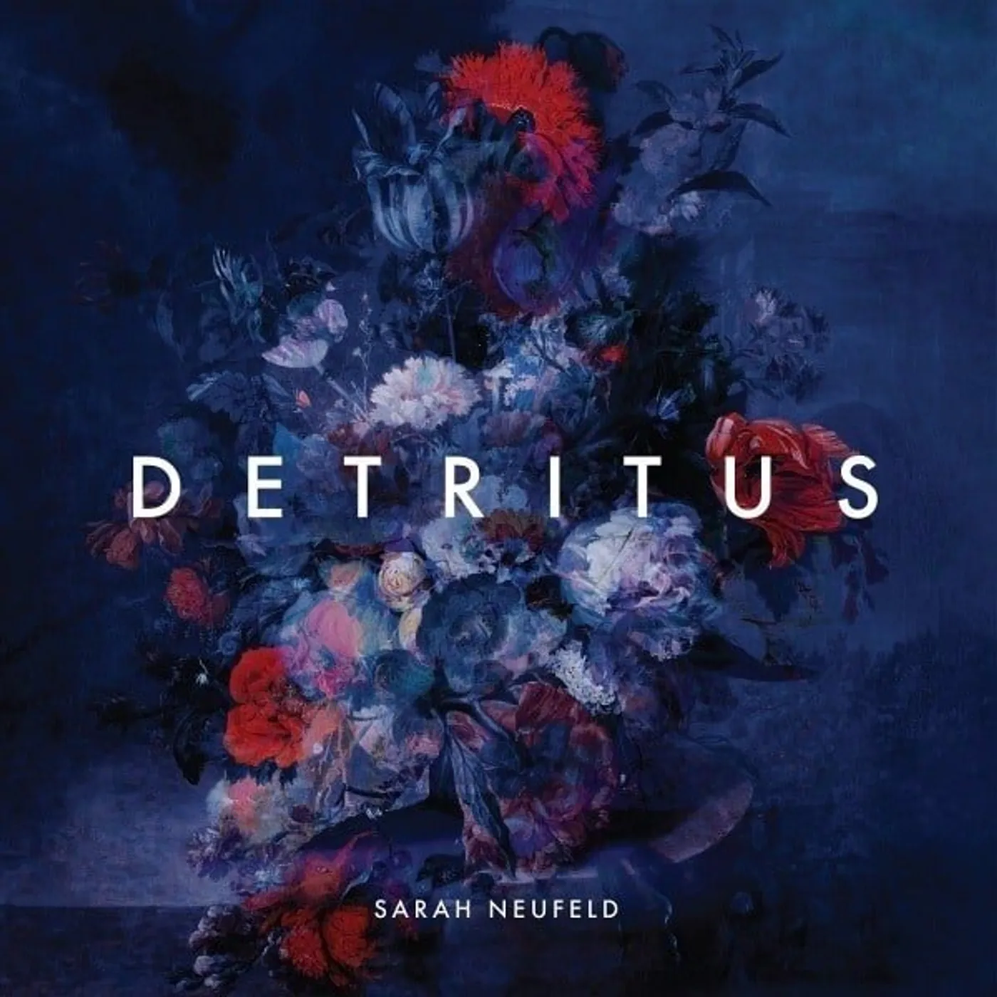 Sarah Neufeld Detritus Vinyl Record