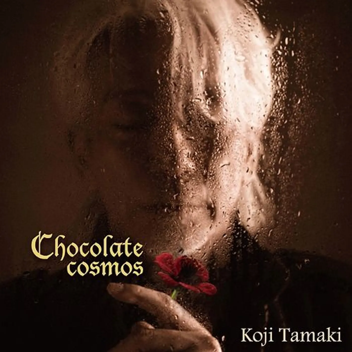 Koji Tamaki Chocolate cosmos Vinyl Record