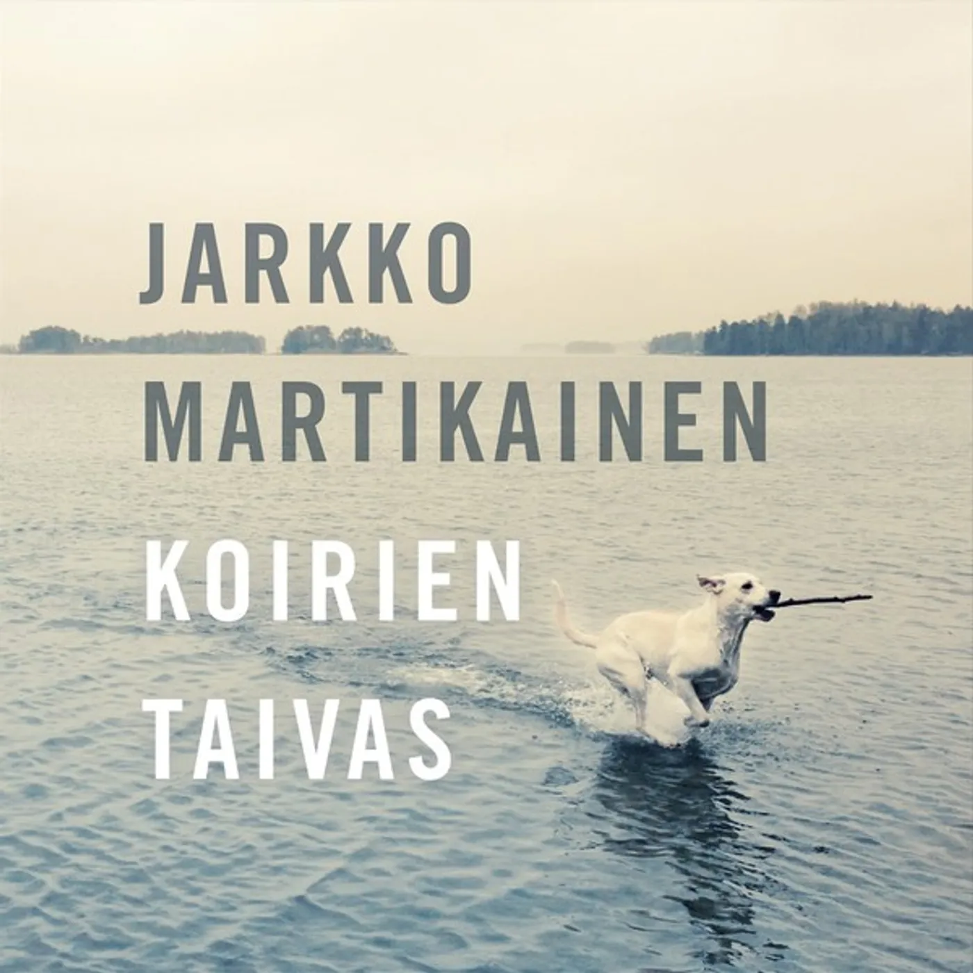 Jarkko Martikainen Koirien Taivas Vinyl Record