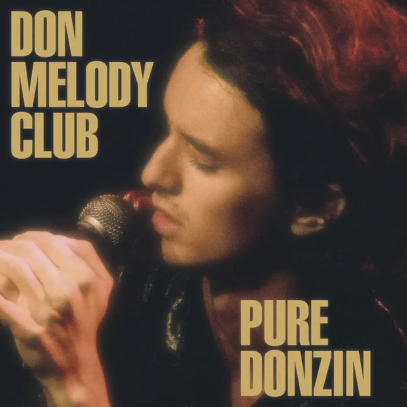 Don Melody Club Pure Donzin Vinyl Record