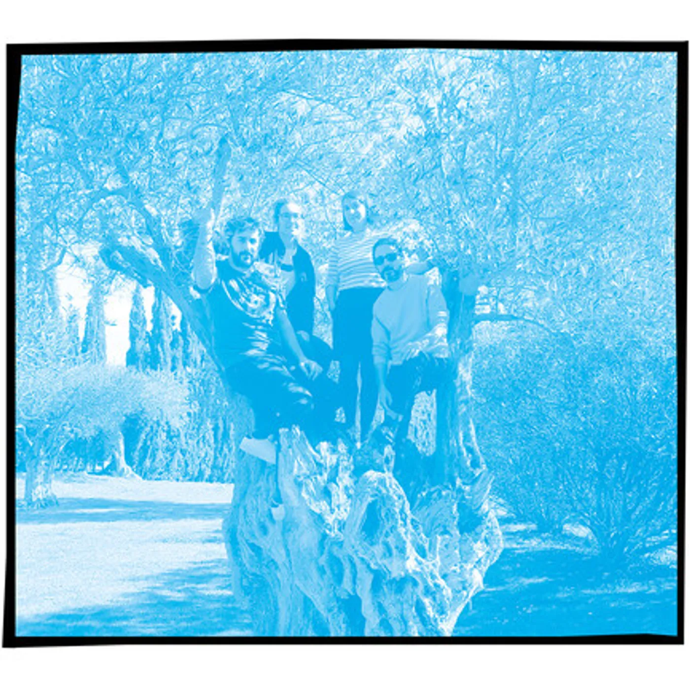 Kiwis VIDA EXTERIOR CD