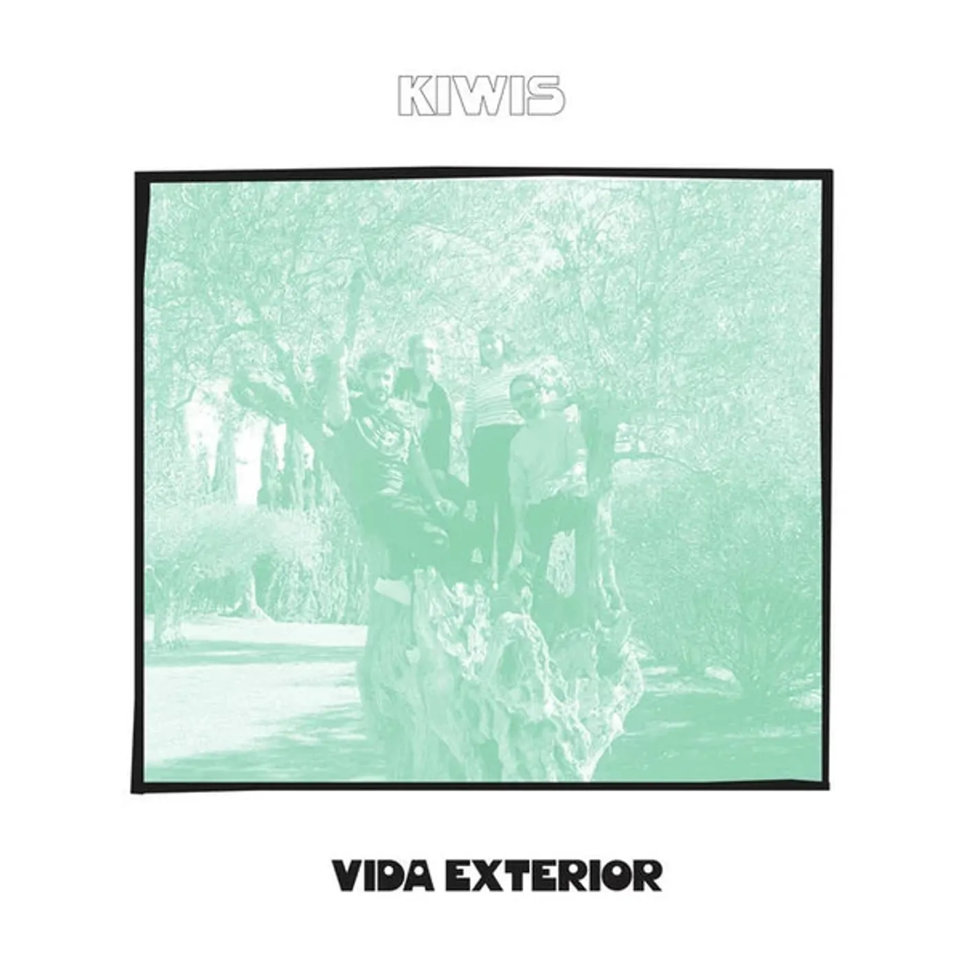 Kiwis Vida Exterior Vinyl Record