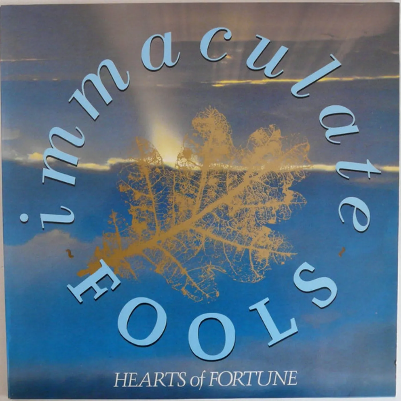 Immaculate Fools Hearts of Fortune Vinyl Record
