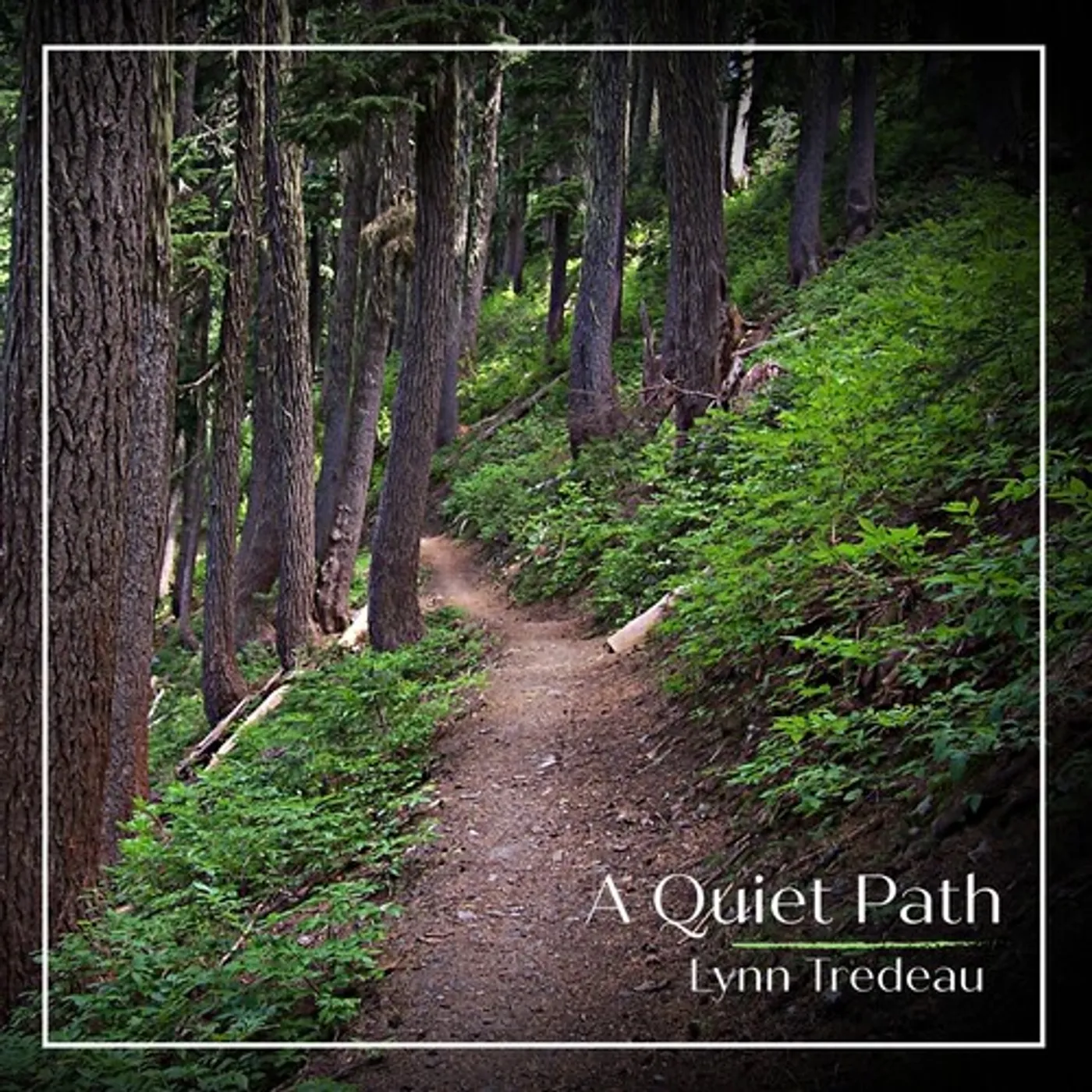 Lynn Tredeau QUIET PATH CD