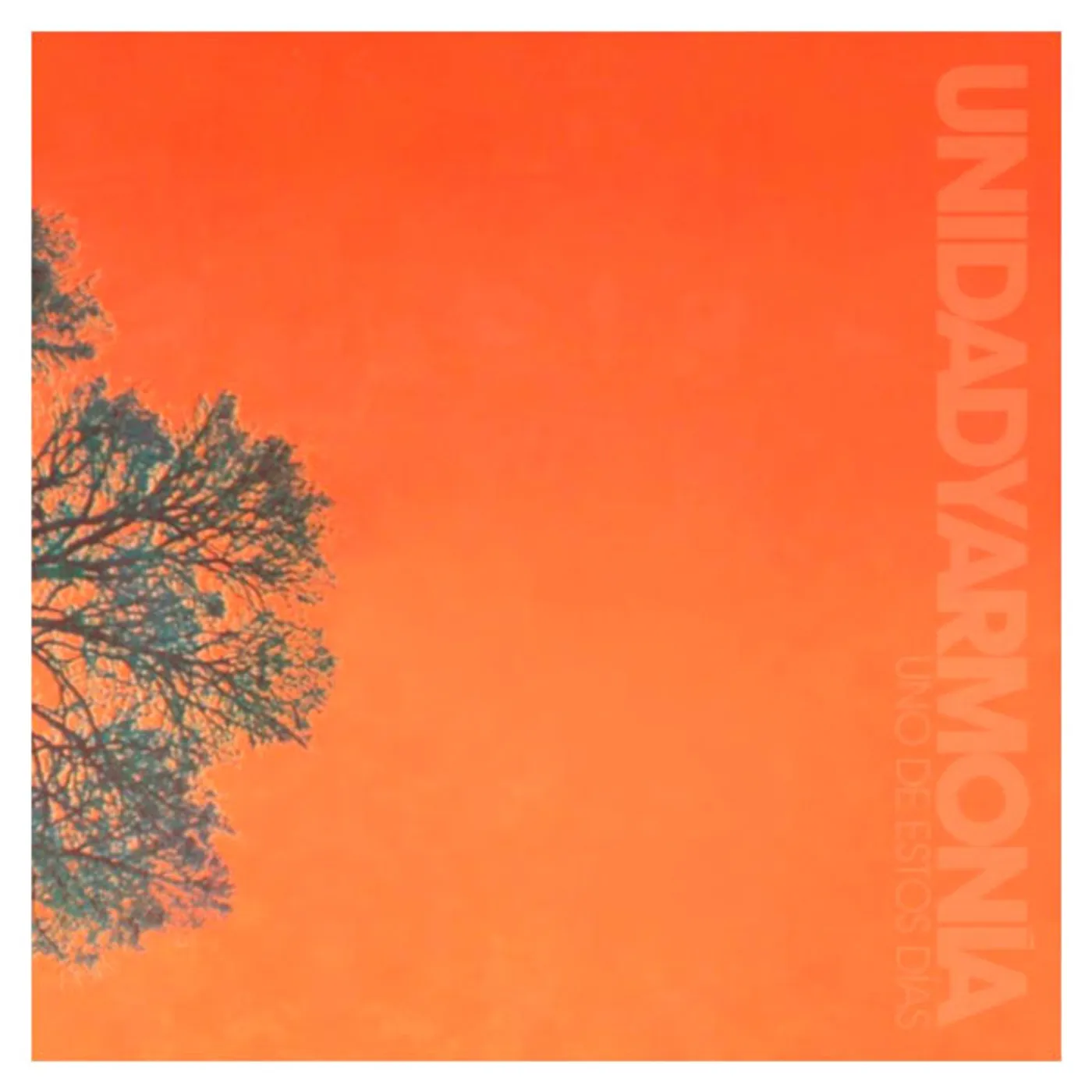 Unidad y Armonía UNO DE ESTOS DIAS Vinyl Record