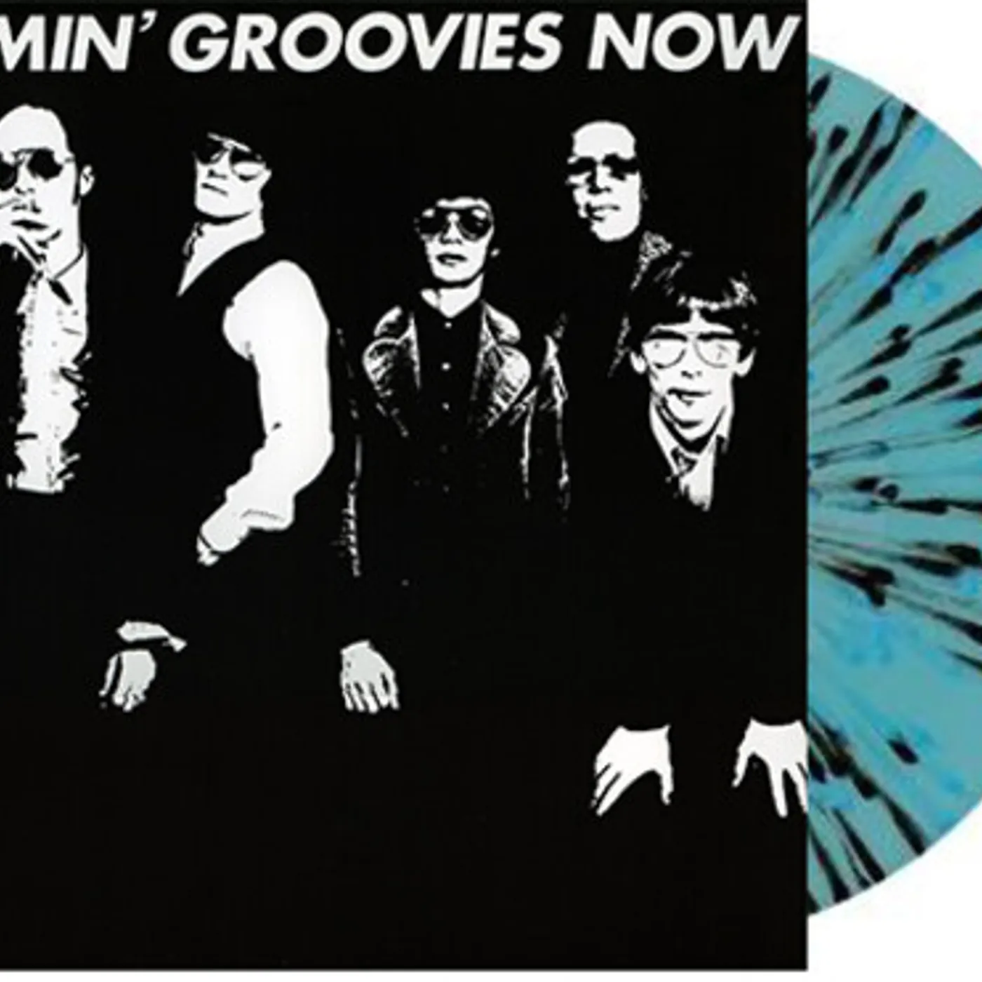 Flamin' Groovies Now Vinyl Record