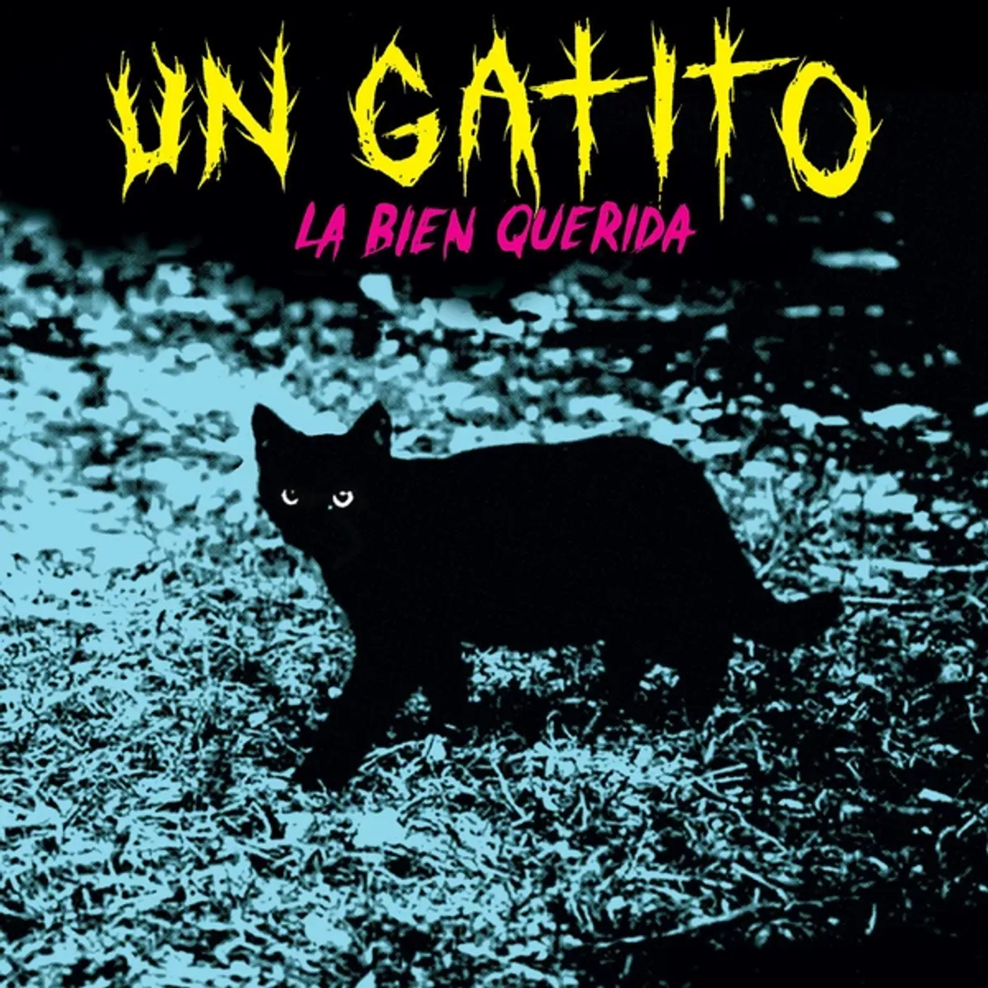 Bien Querida Un Gatito Vinyl Record
