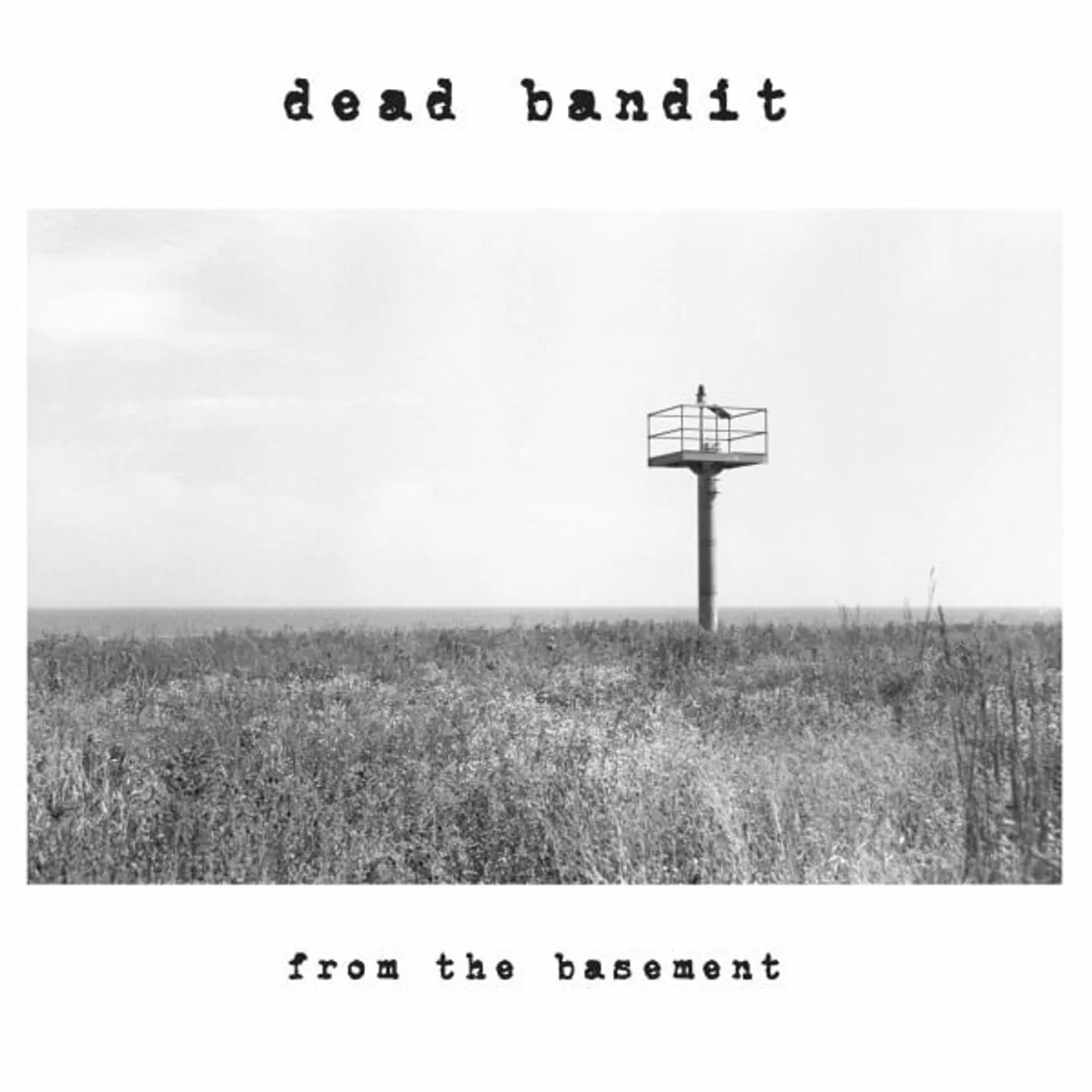 Dead Bandit From The Basement Vinyl Record